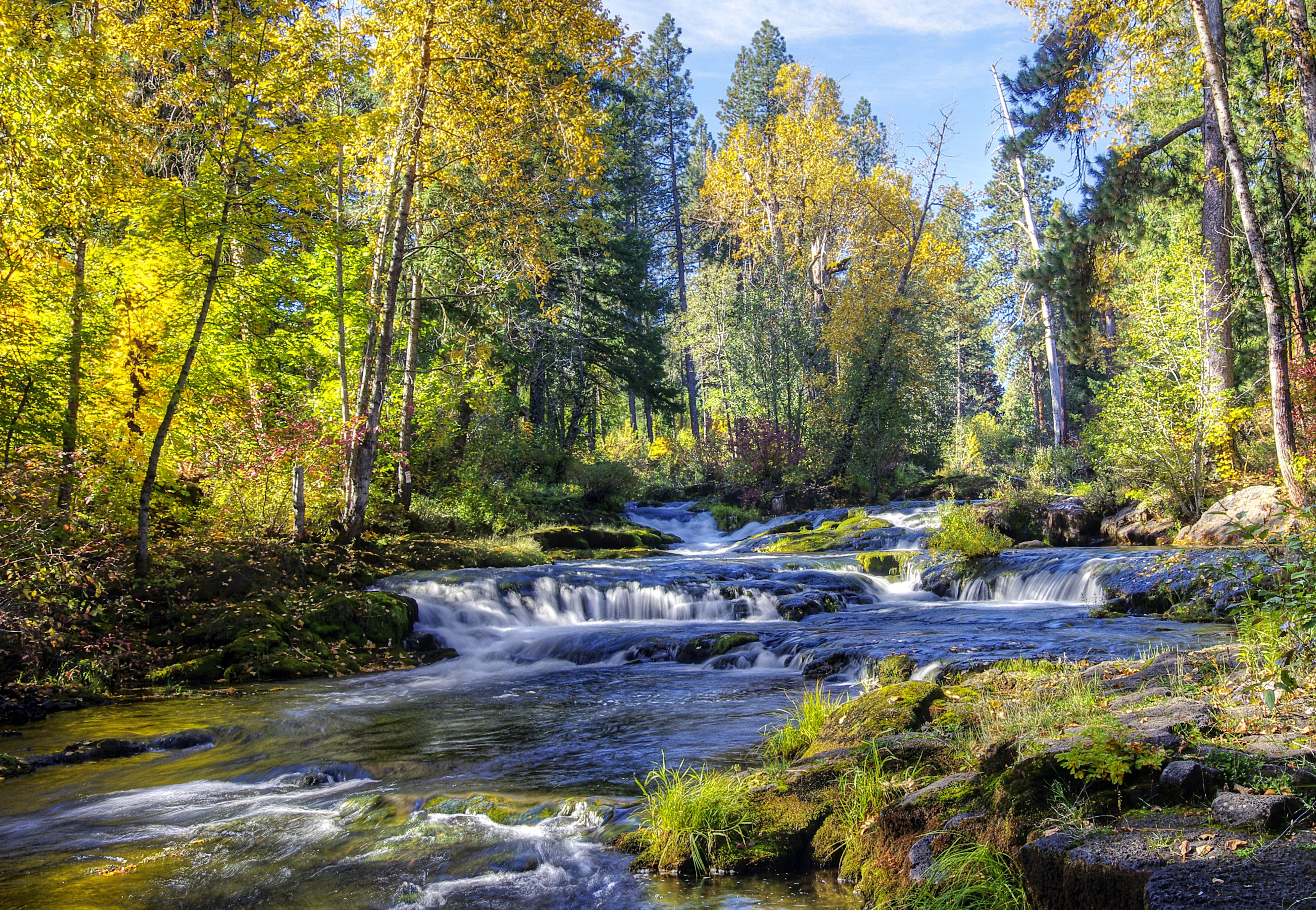 Autumn forest with a flowing river and waterfalls HD Wallpaper