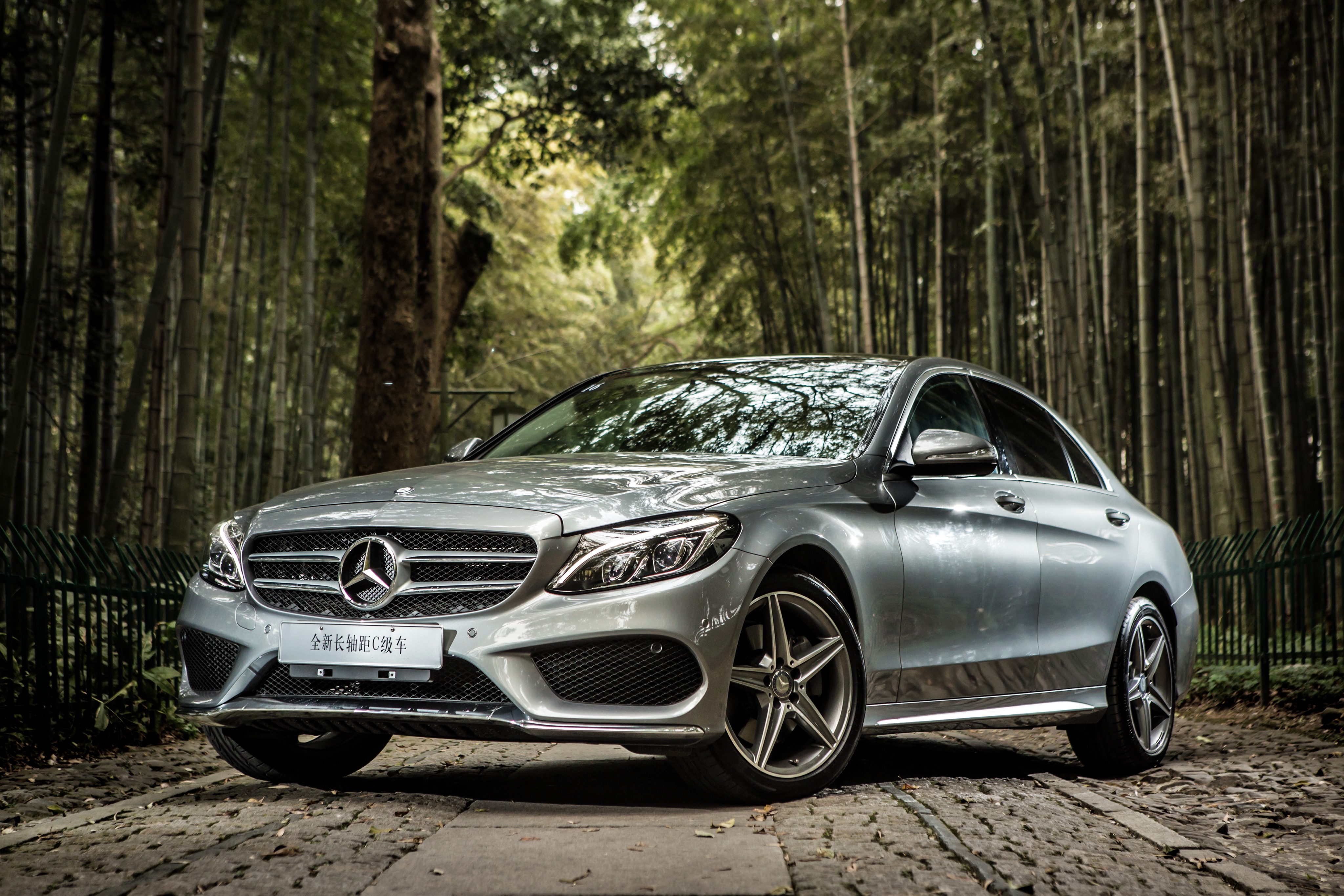 Silver Mercedes-Benz AMG C-Class W205 in forest HD Wallpaper