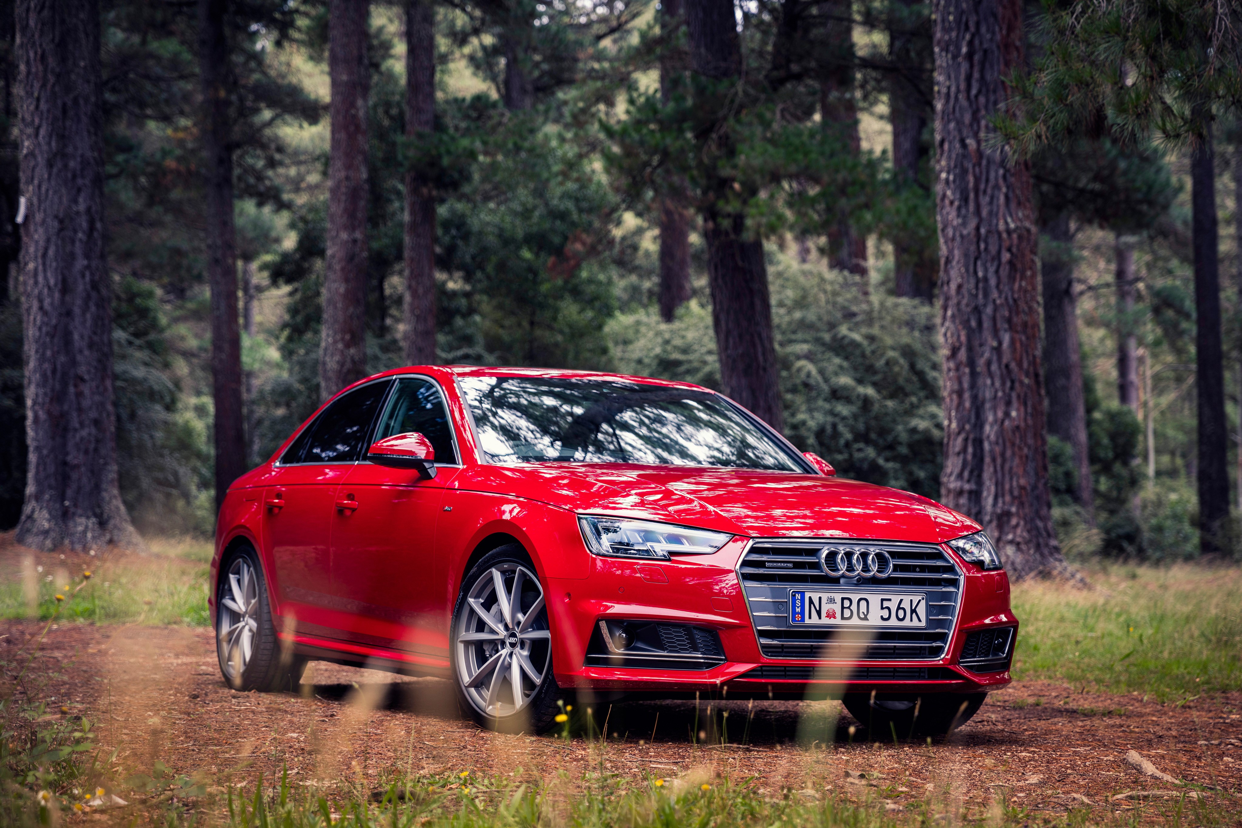 Red Audi A4 Sedan in Forest HD Wallpaper