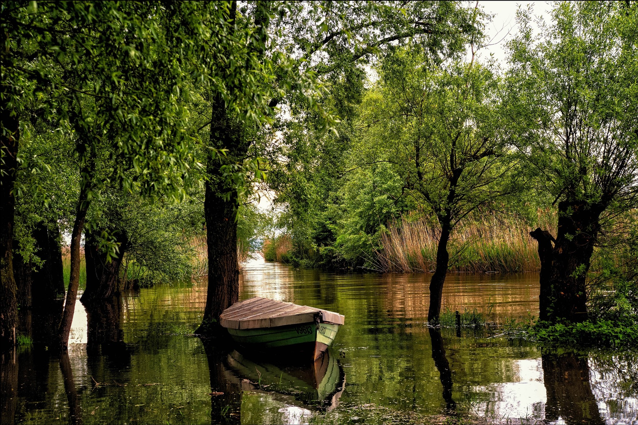 Boat on a river surrounded by trees in Vorarlberg, Austria HD Wallpaper