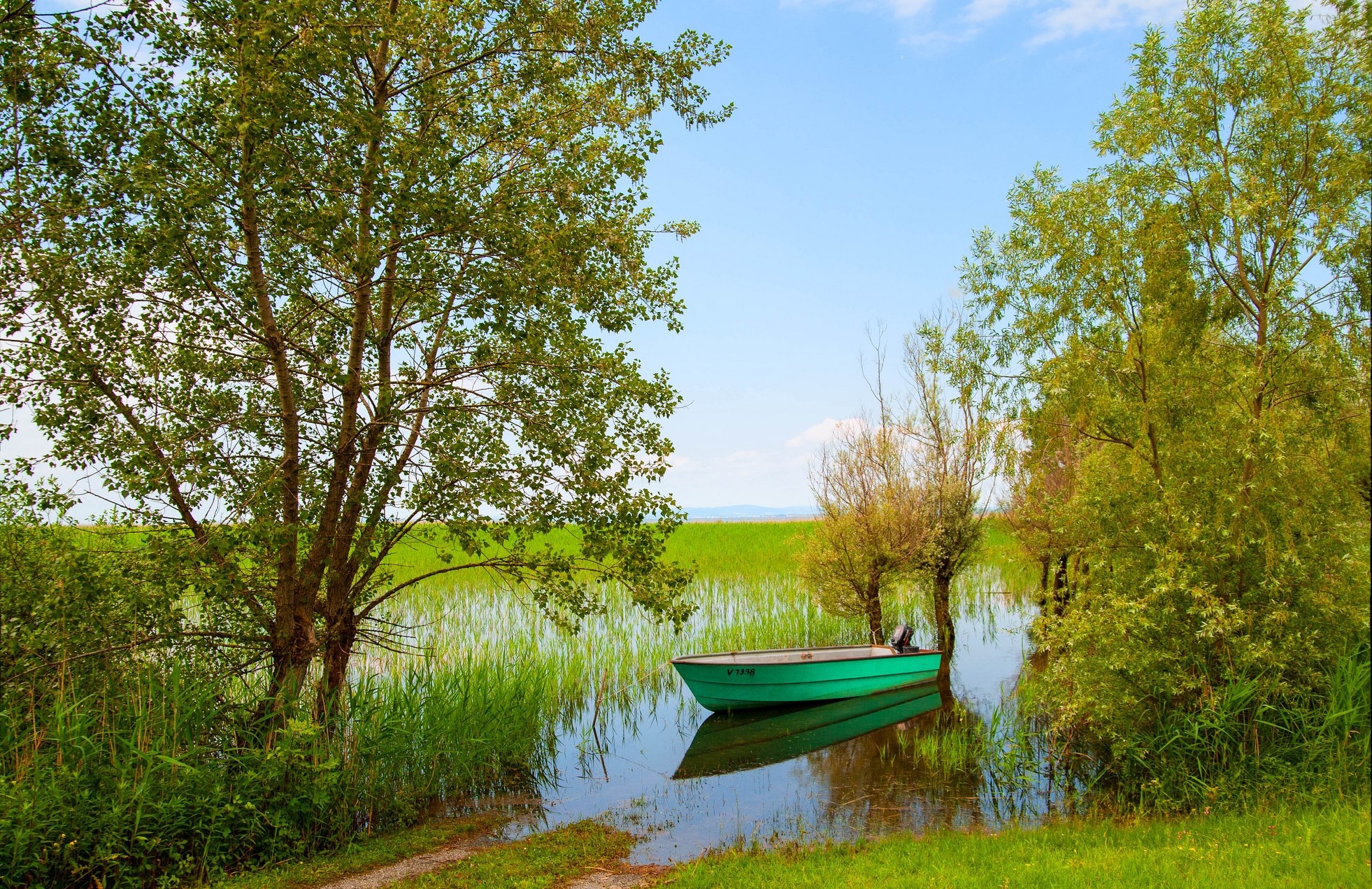 Green boat on a calm lake surrounded by trees and reeds HD Wallpaper
