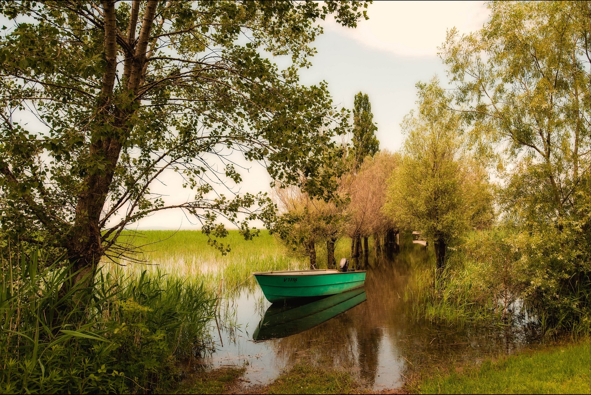 Green boat on a calm river surrounded by trees HD Wallpaper