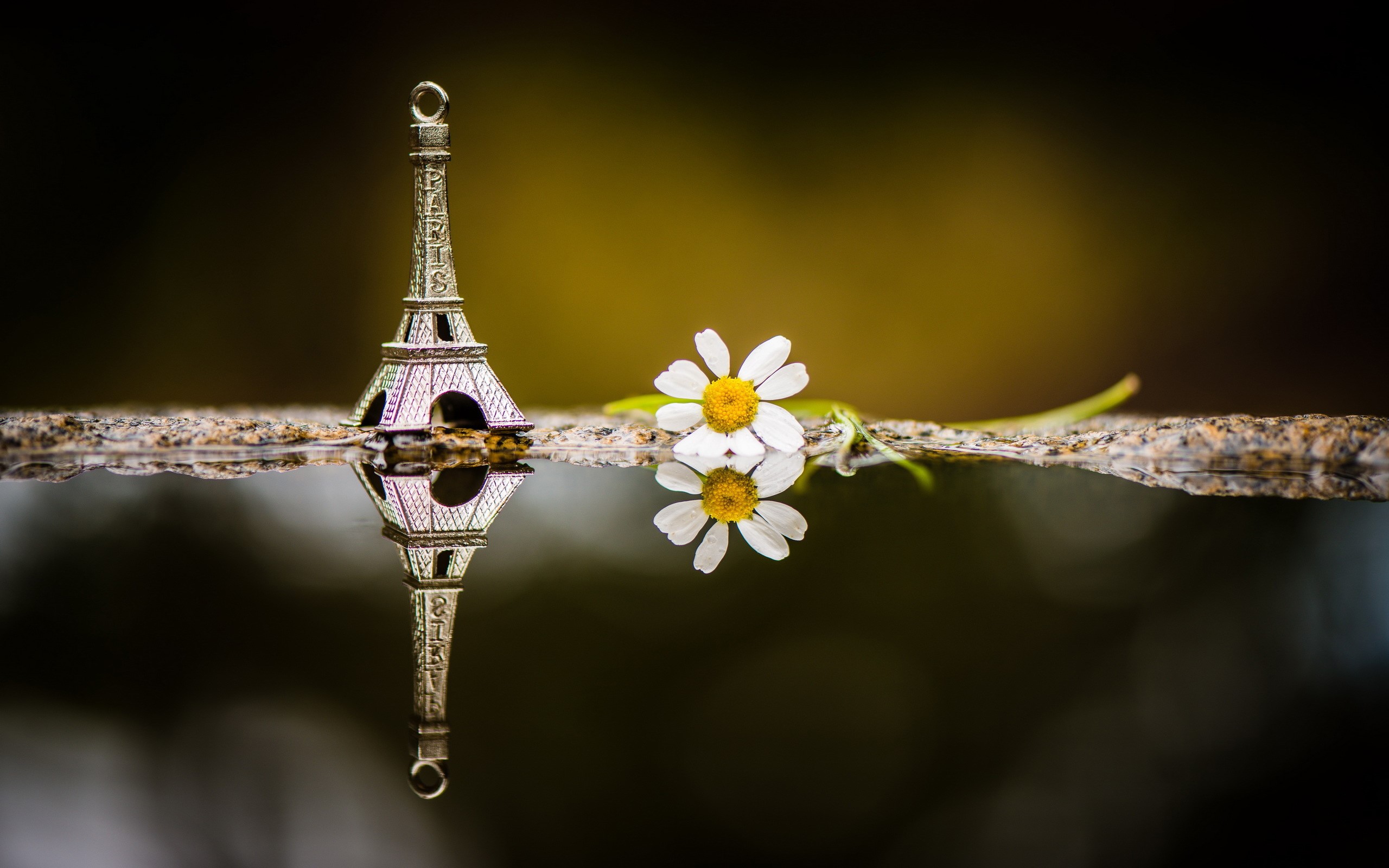 Eiffel Tower souvenir and chamomile flower reflection HD Wallpaper