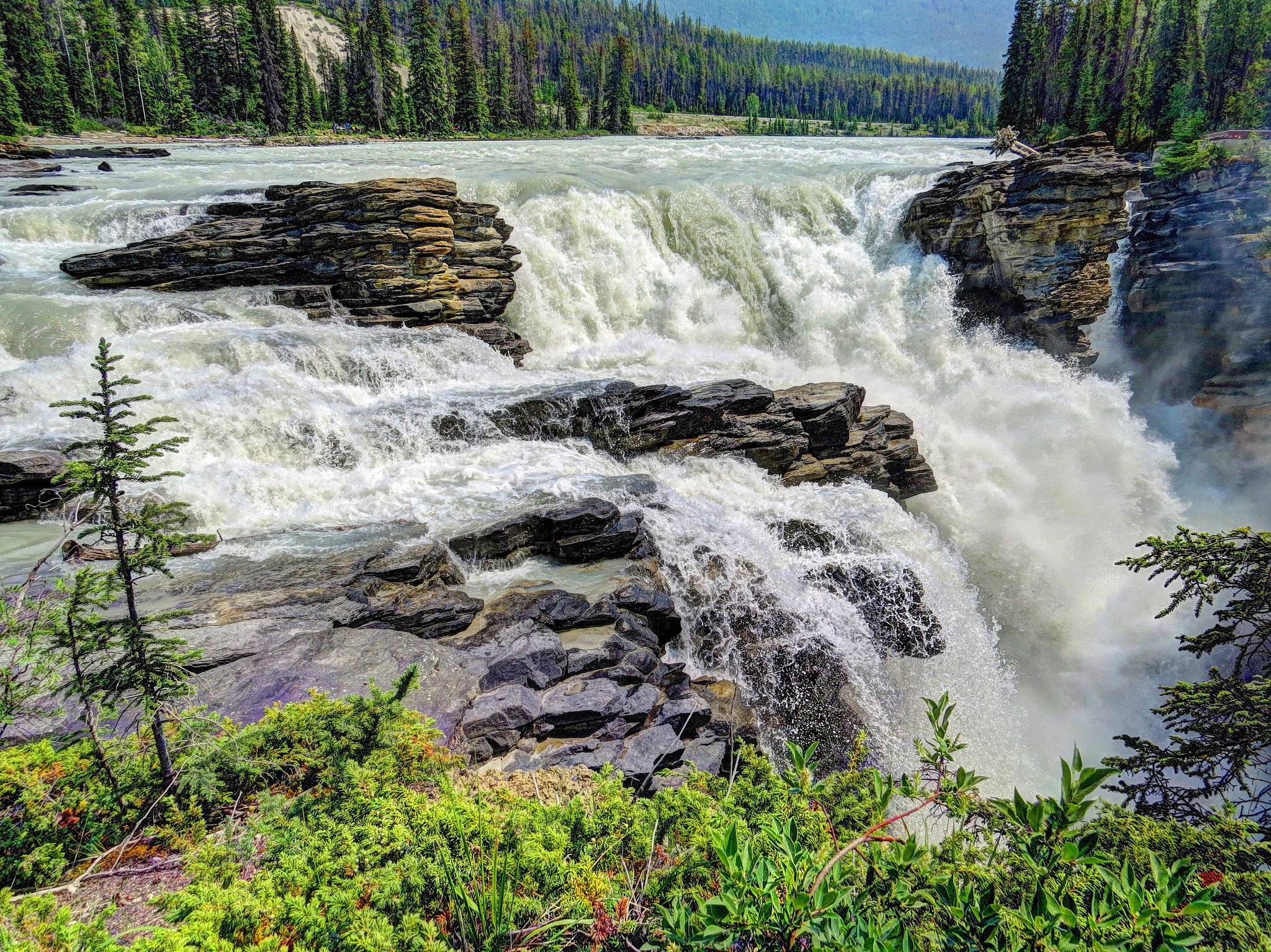 Athabasca Falls in Jasper National Park, Canada HD Wallpaper