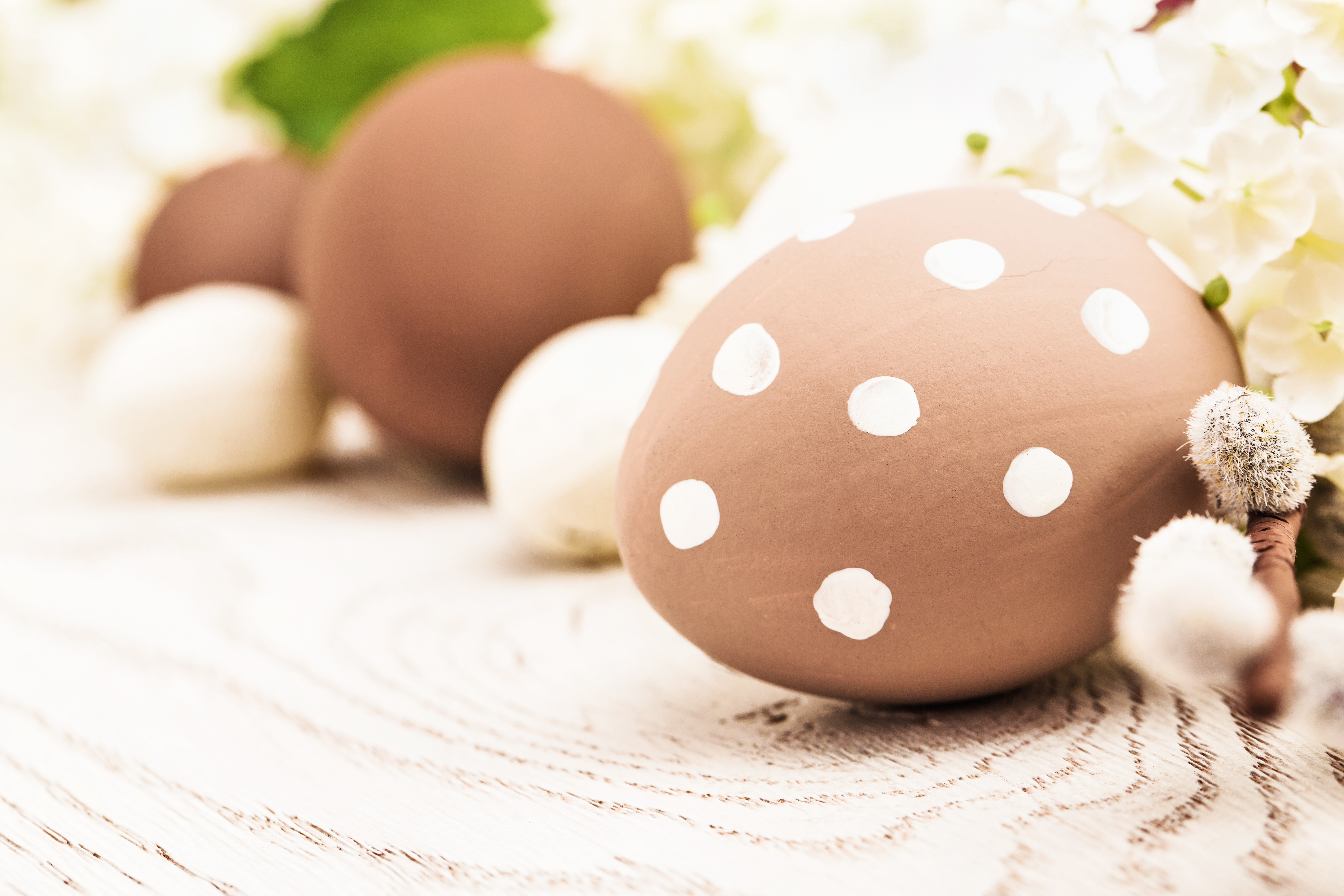 Easter eggs with flowers and pussy willows HD Wallpaper
