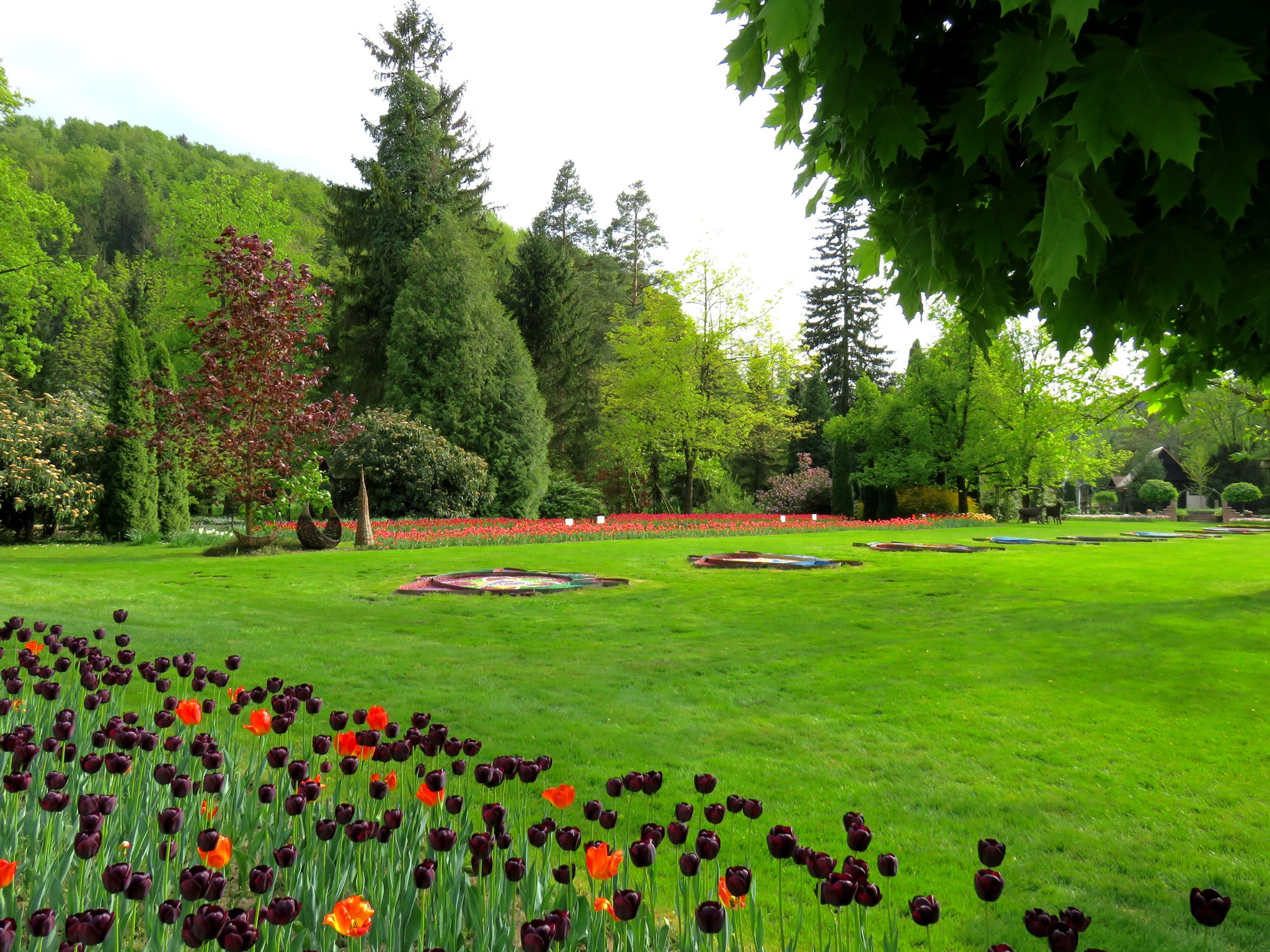 Mozirski Gaj Park with Tulips and Trees in Slovenia HD Wallpaper