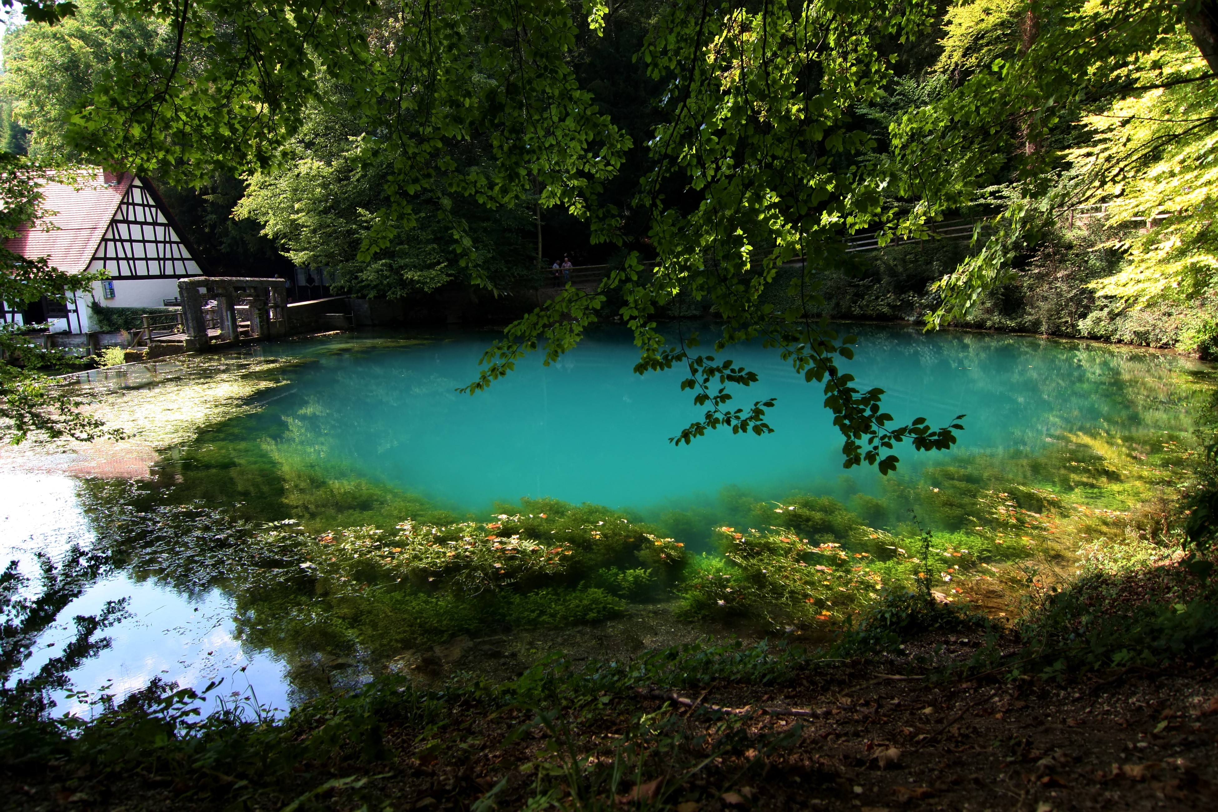 4K Lake in Blaubeuren, Germany HD Wallpaper