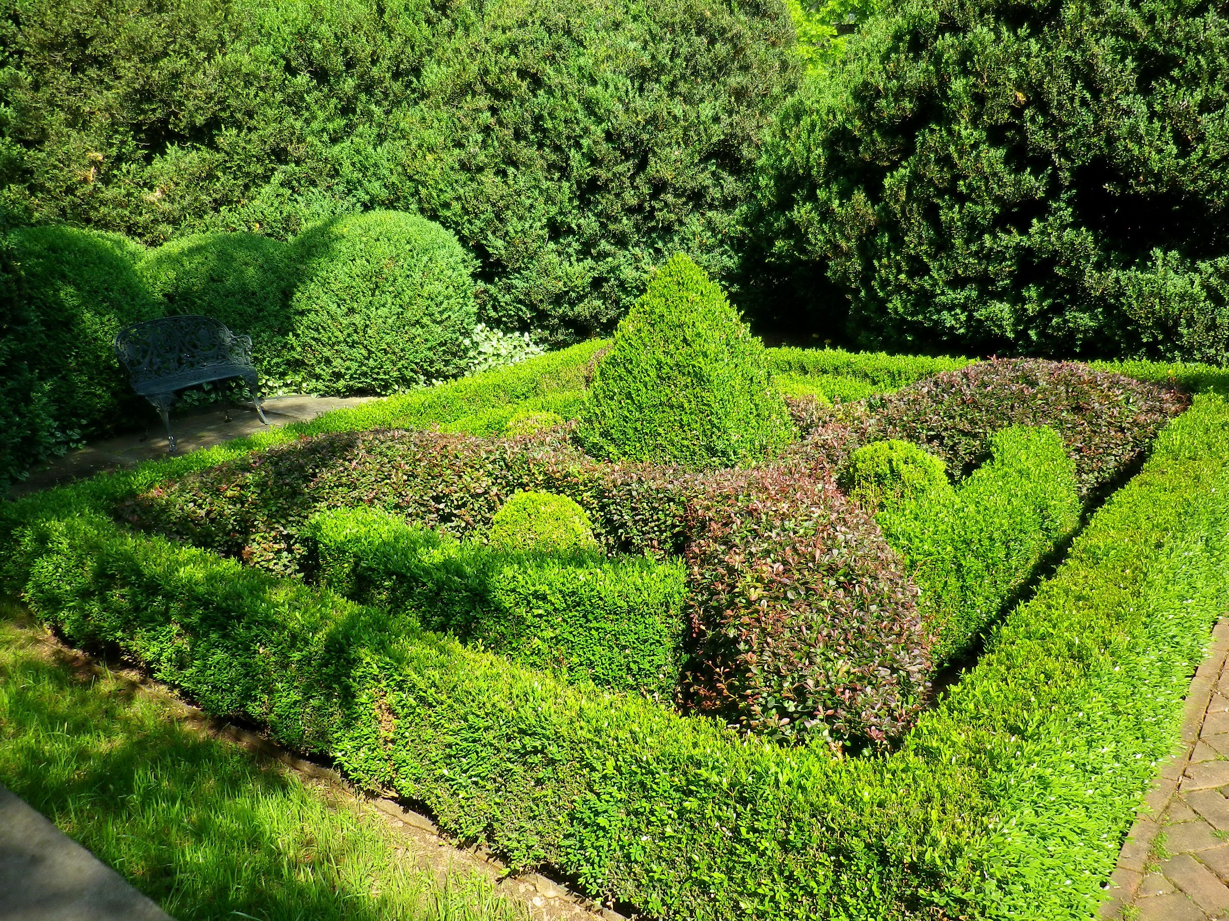 Formal garden with manicured shrubs and a bench HD Wallpaper