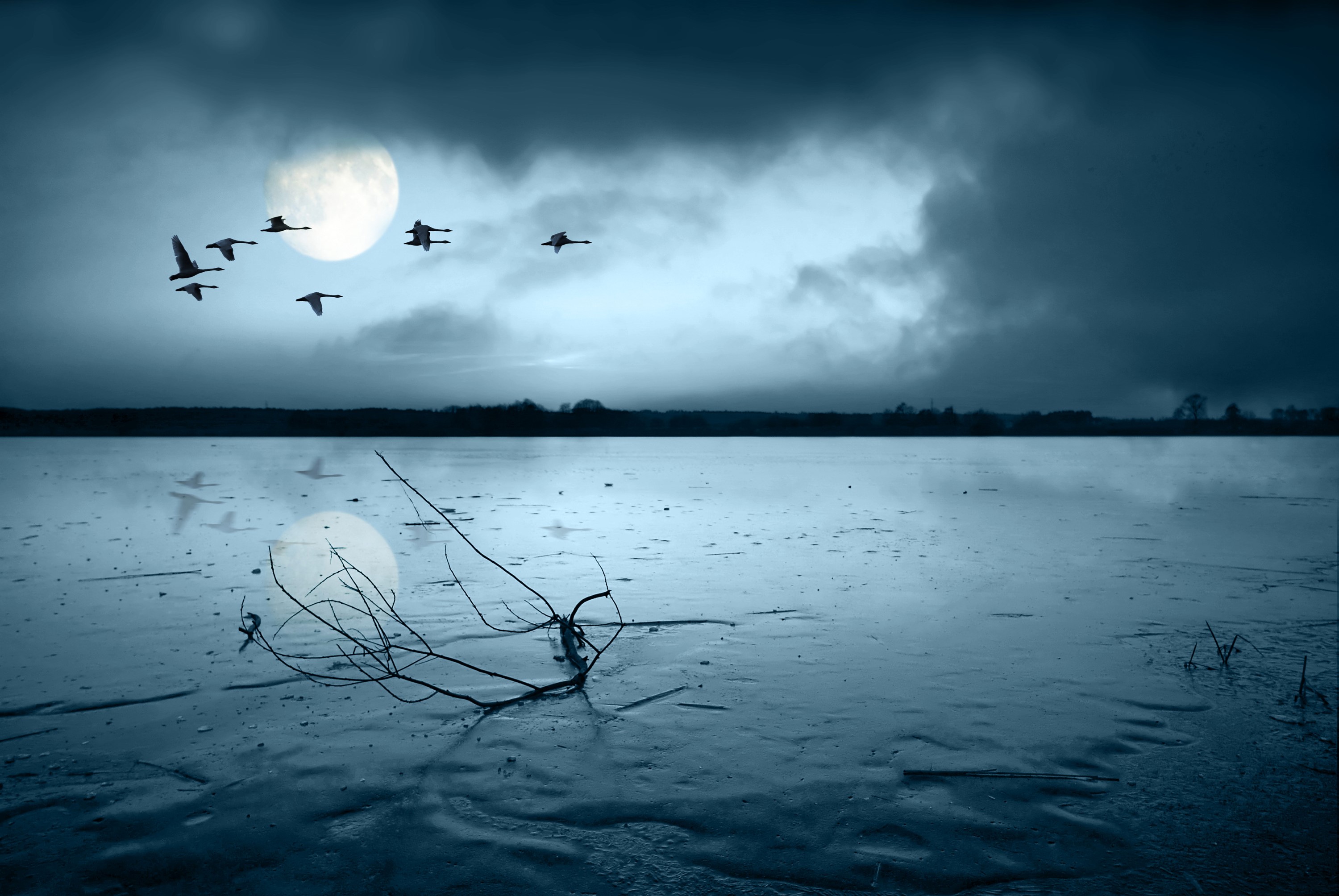 Birds flying over a moonlit frozen lake at night HD Wallpaper