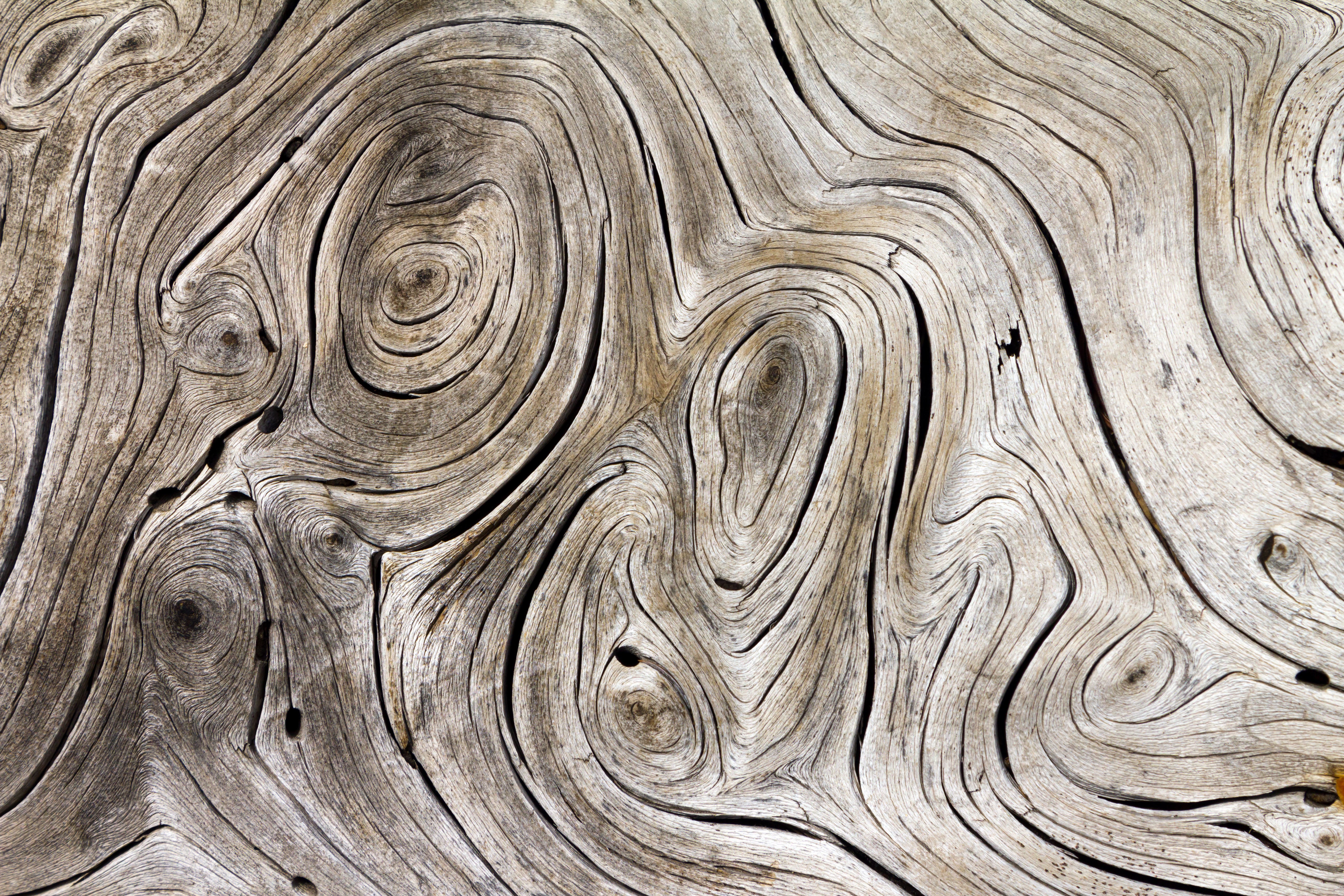 Close-up of weathered wood grain texture HD Wallpaper