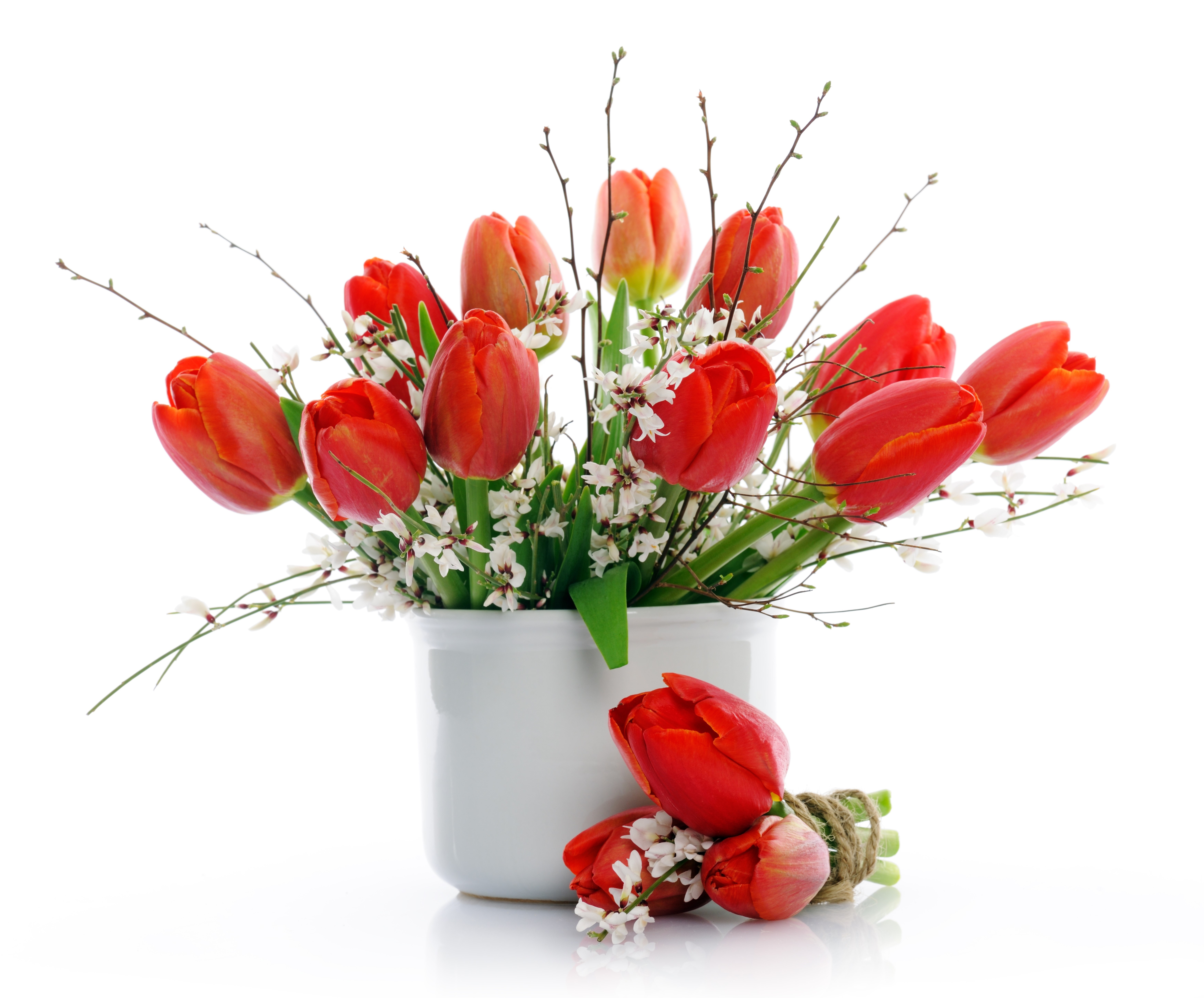 Red Tulips in a White Vase HD Wallpaper