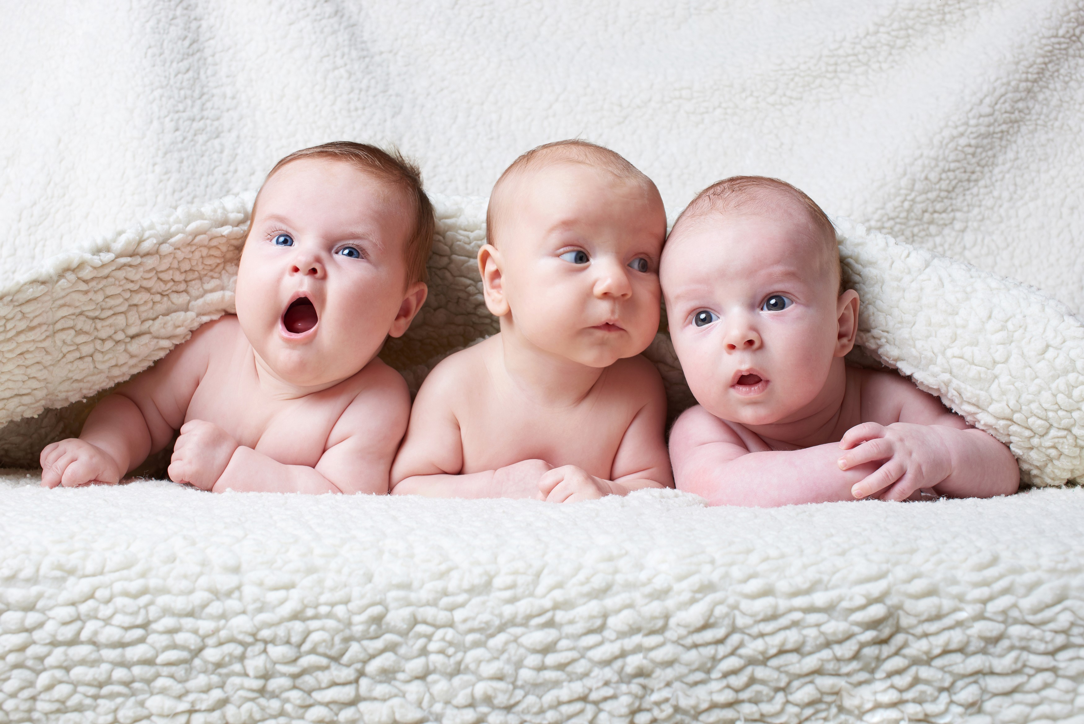 Three babies lying on a blanket HD Wallpaper