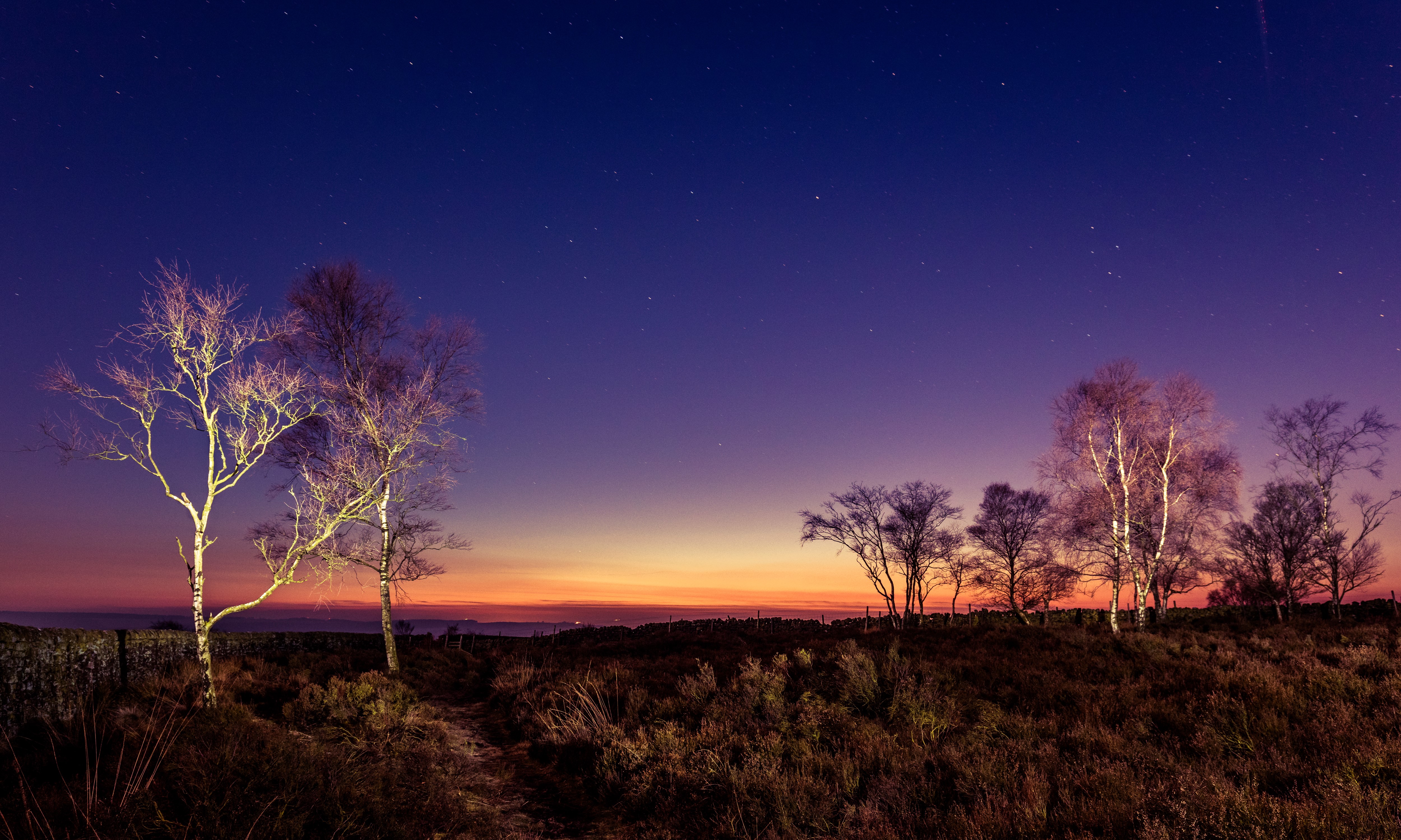 Trees under starry sky at dusk in Peak District, UK HD Wallpaper