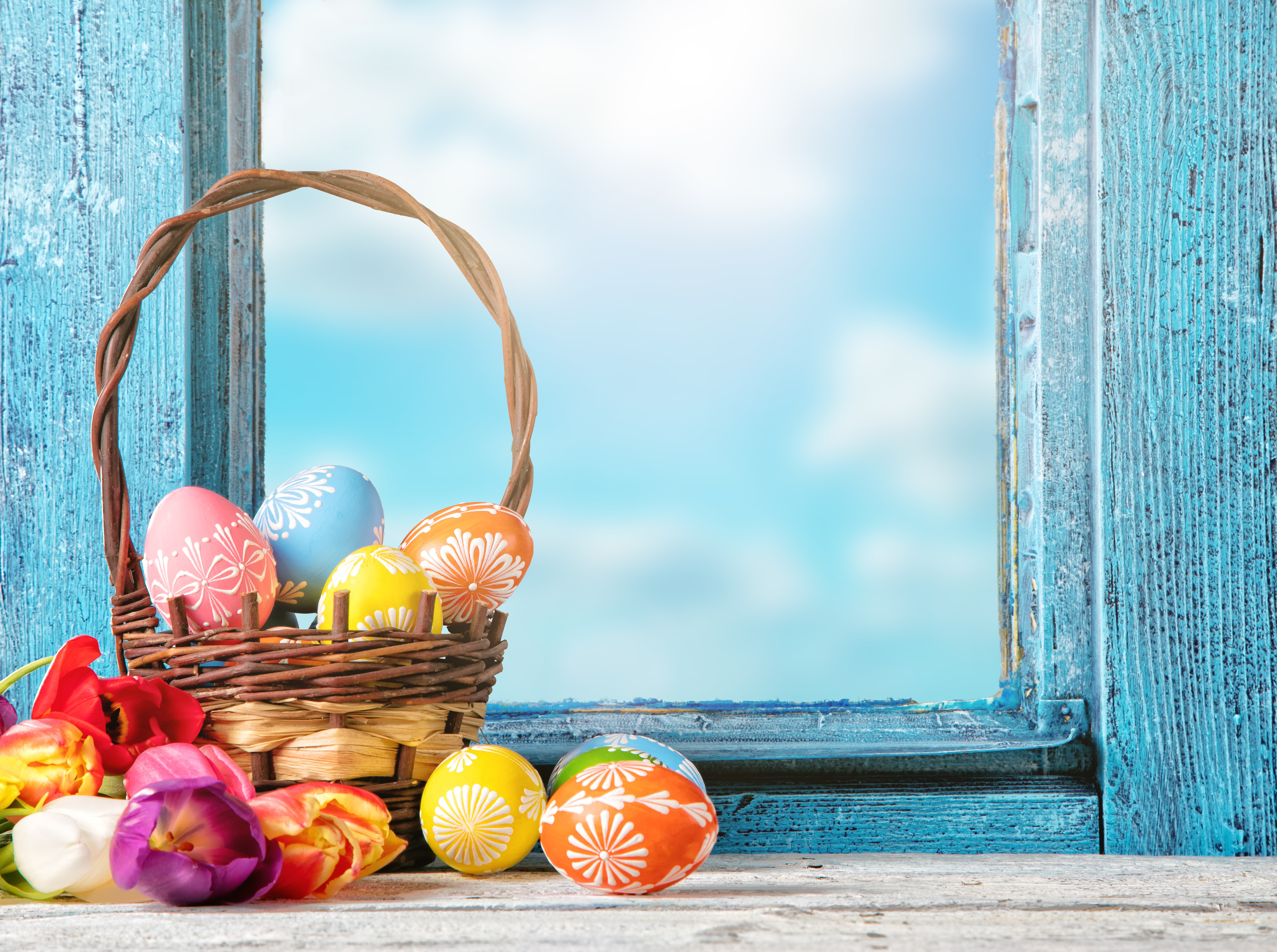 Easter eggs in a basket with tulips HD Wallpaper