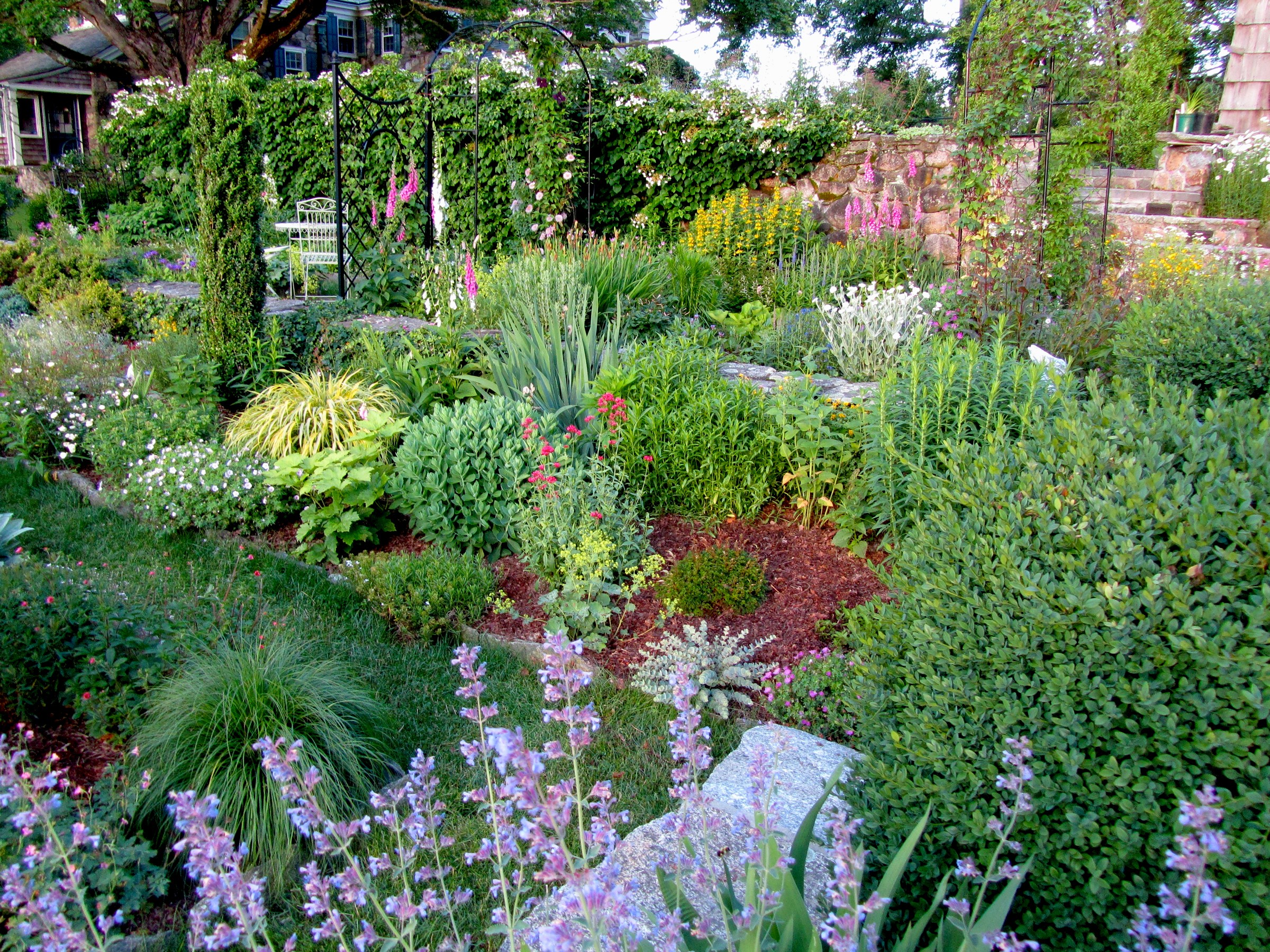 A lush garden with various plants and flowers HD Wallpaper