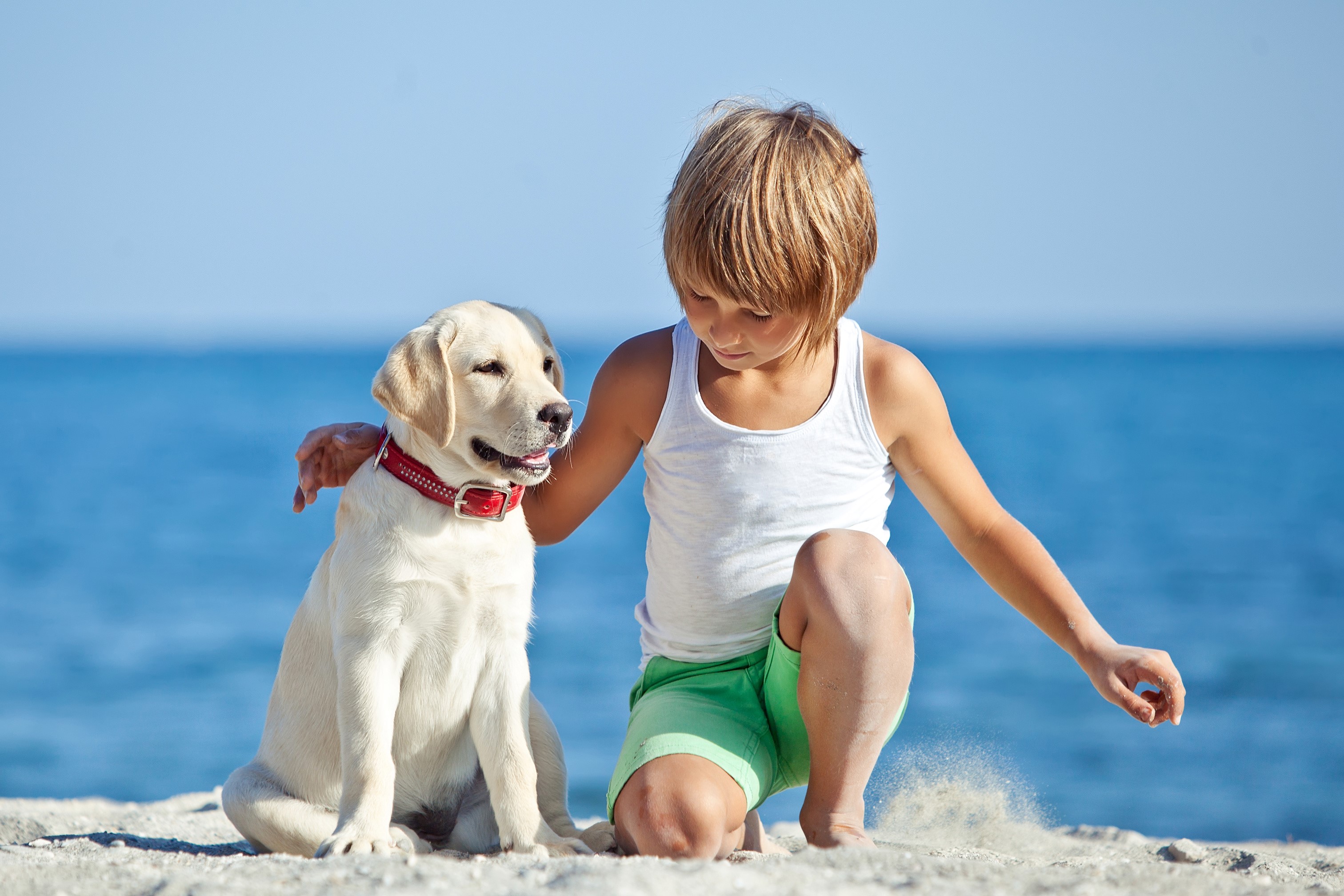 Boy and Labrador Retriever on a Beach HD Wallpaper