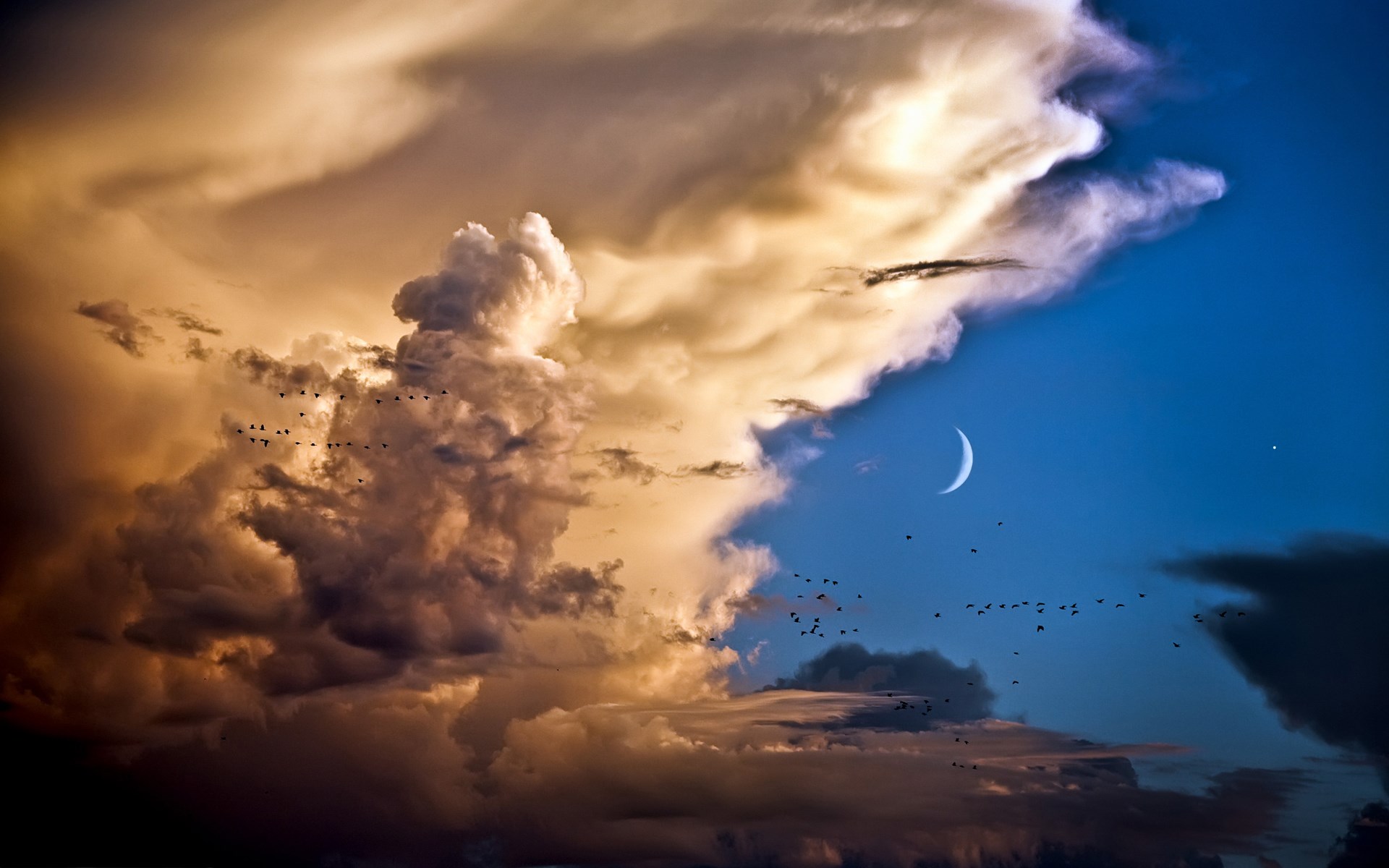 Birds flying past dramatic clouds with a crescent moon HD Wallpaper