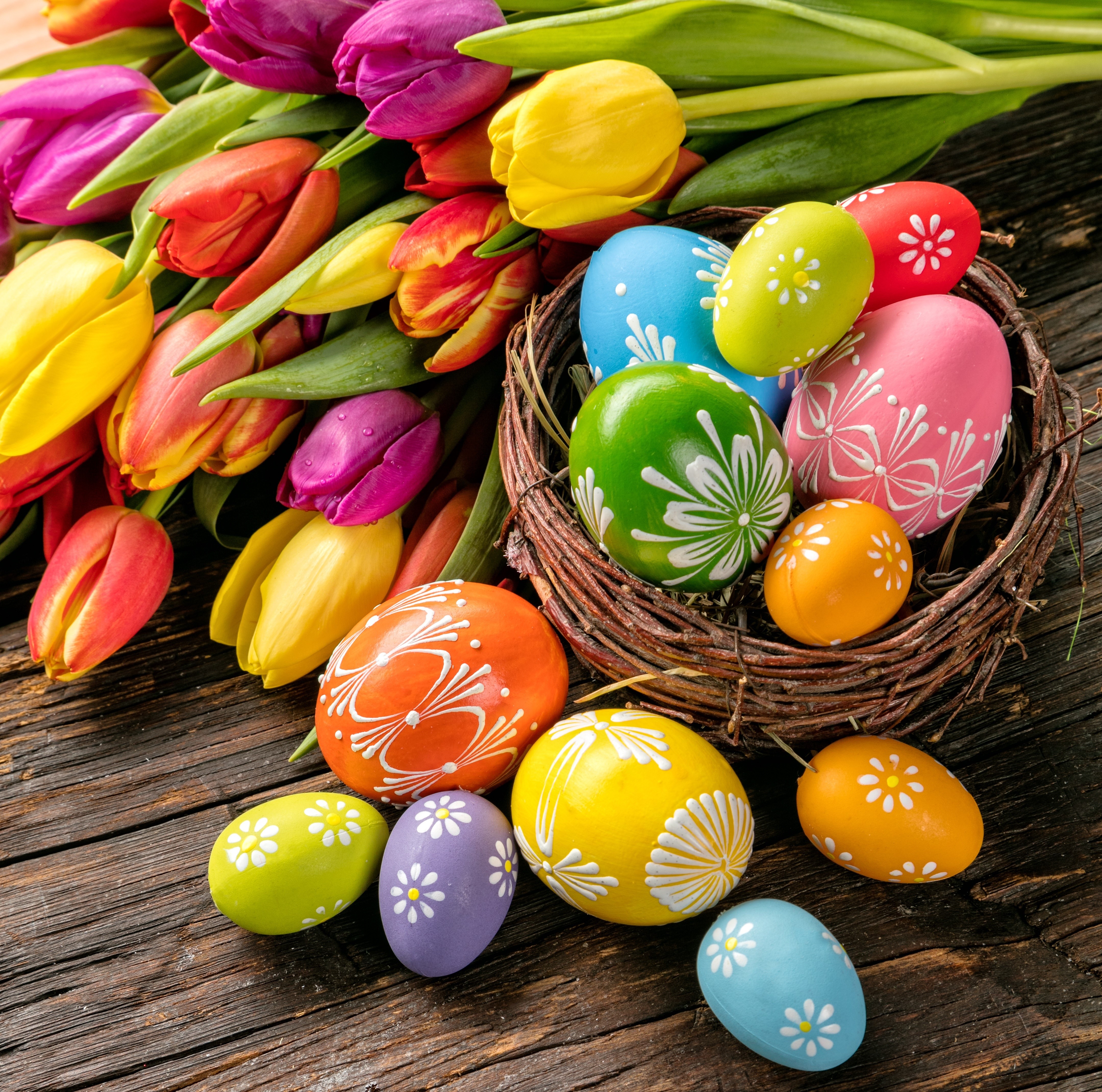 4K Easter Tulips and Decorated Eggs HD Wallpaper