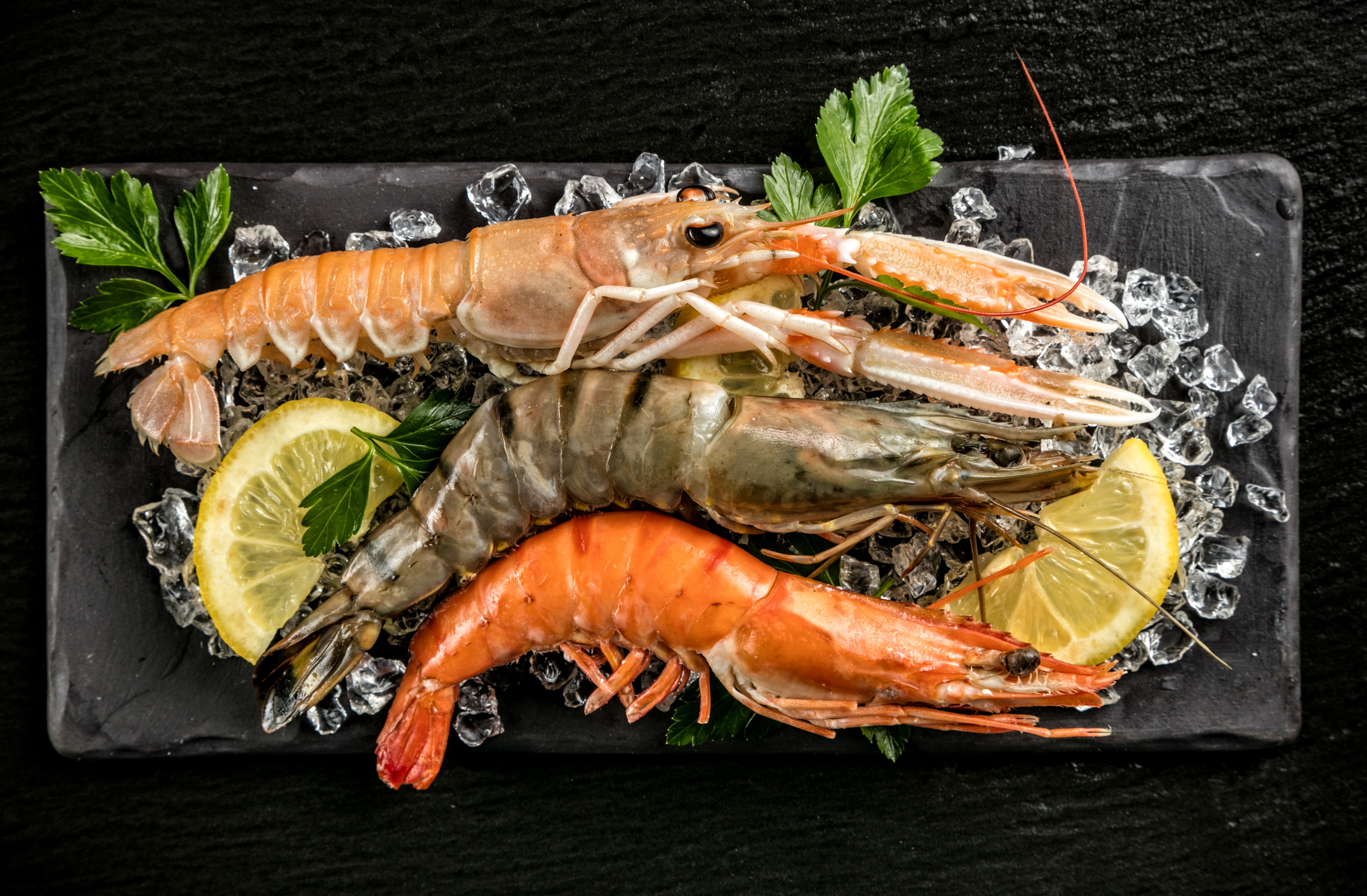 Seafoods Shrimp and Lemons on Ice HD Wallpaper