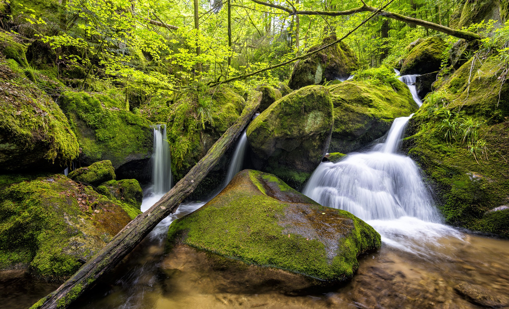 Mossy rocks and waterfalls in Gertelbach, Germany HD Wallpaper