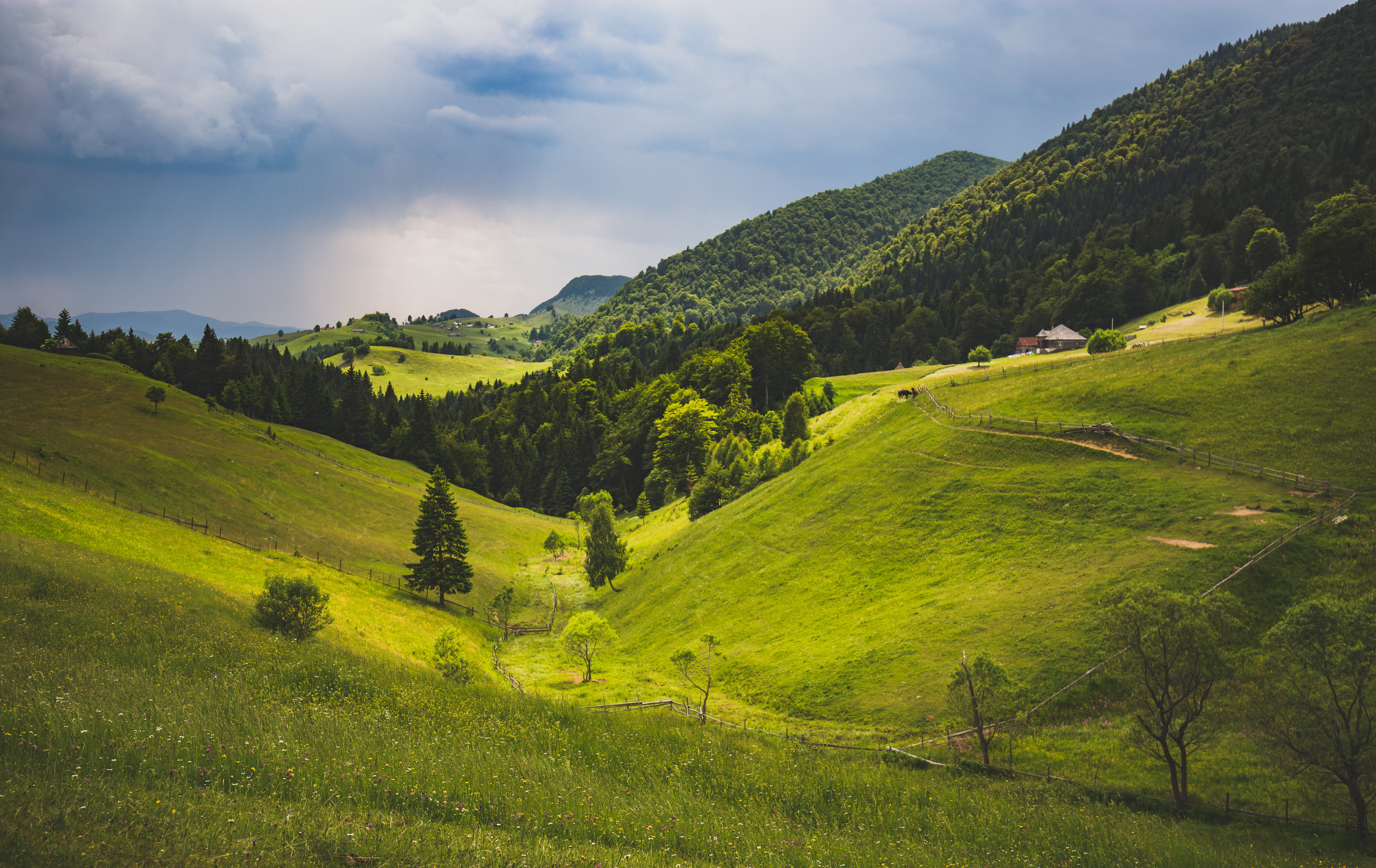 Rolling green hills and mountains in Brasov, Romania HD Wallpaper