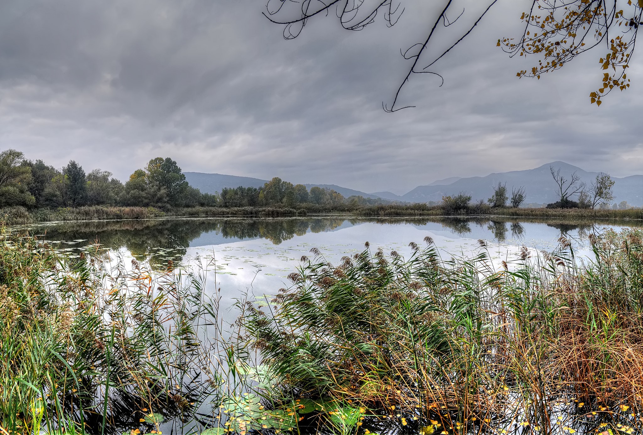 Lake with reeds and distant mountains under cloudy sky HD Wallpaper