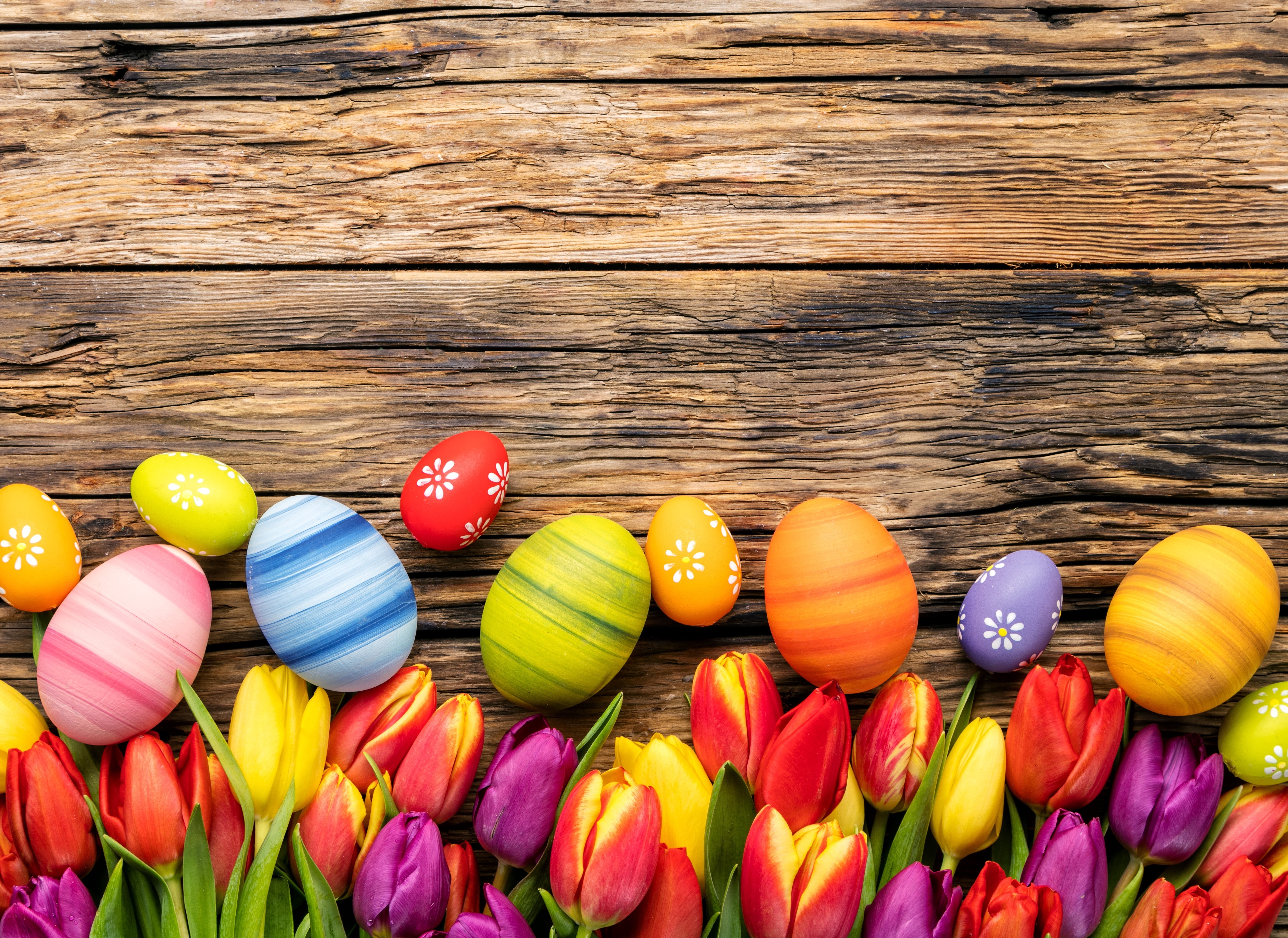 Easter Eggs and Tulips on Wooden Background HD Wallpaper
