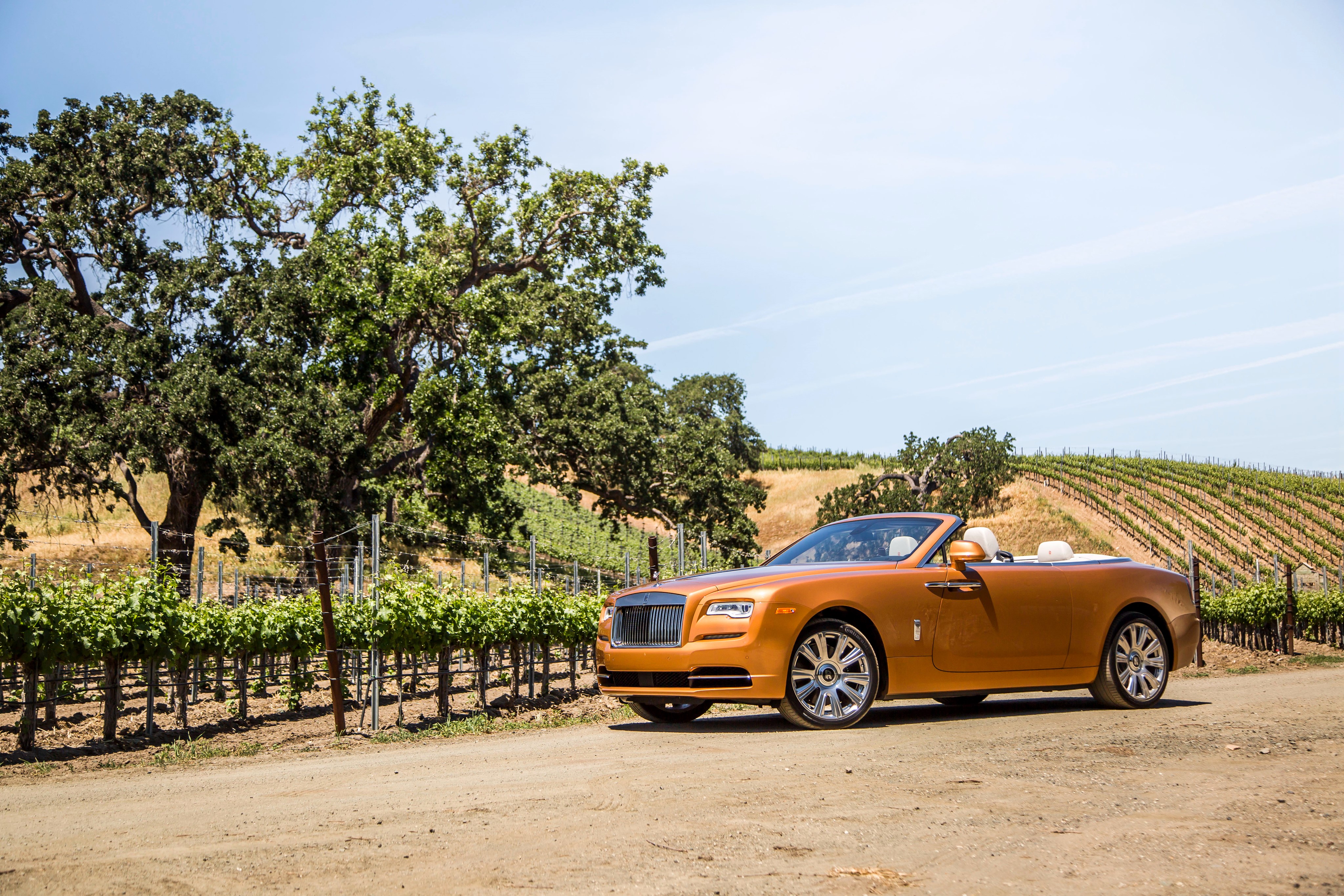 Rolls-Royce Dawn Cabriolet in vineyard HD Wallpaper