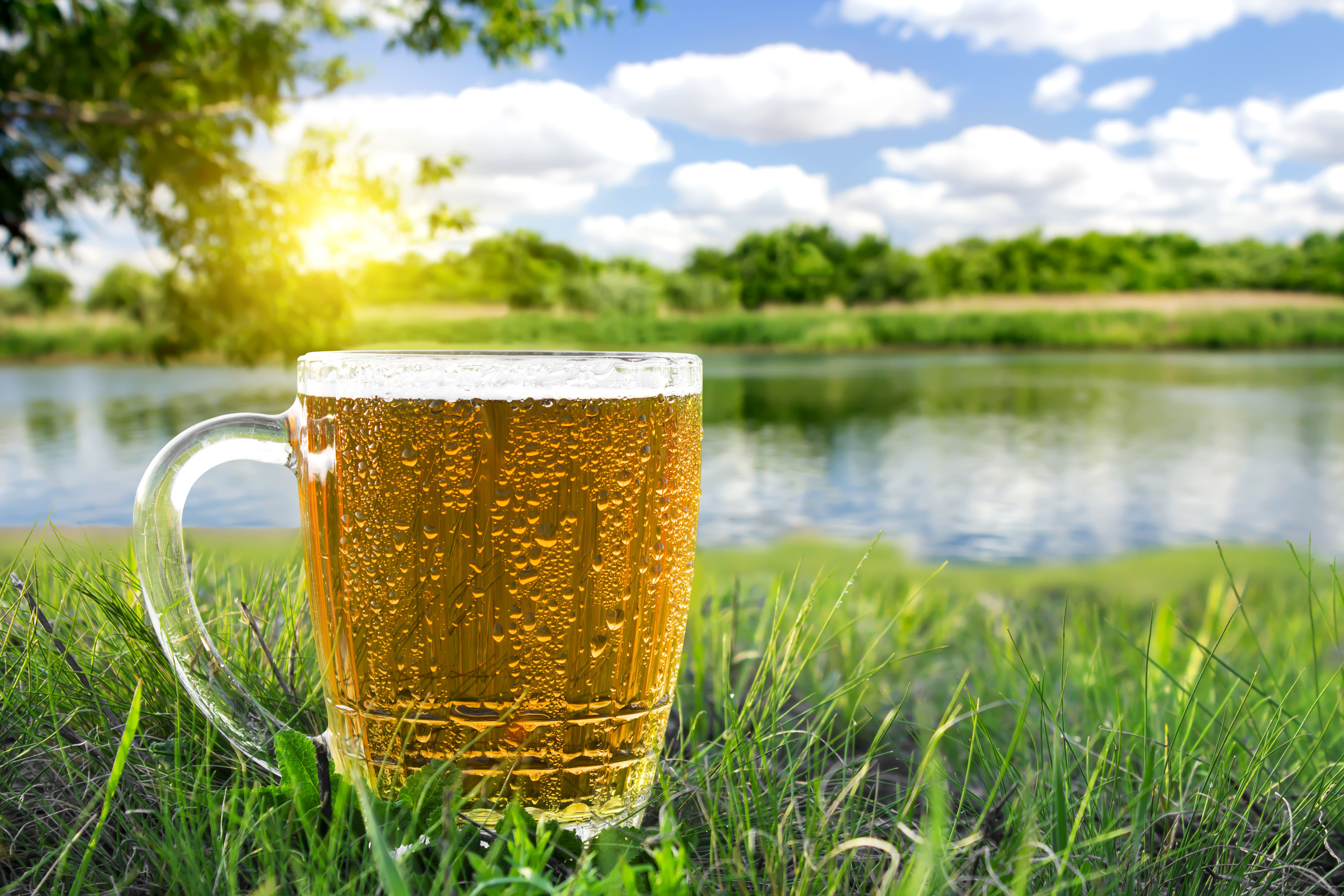 Beer mug by the river with sun and clouds HD Wallpaper