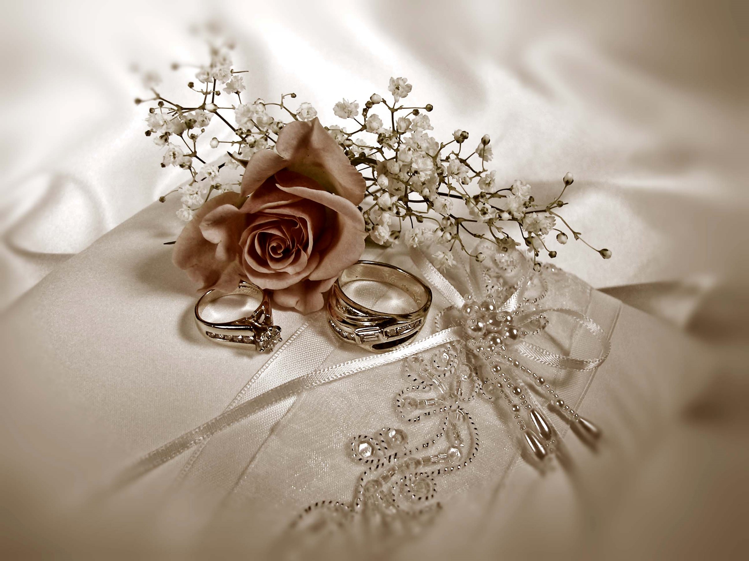Wedding Rings with Rose and Baby's Breath HD Wallpaper