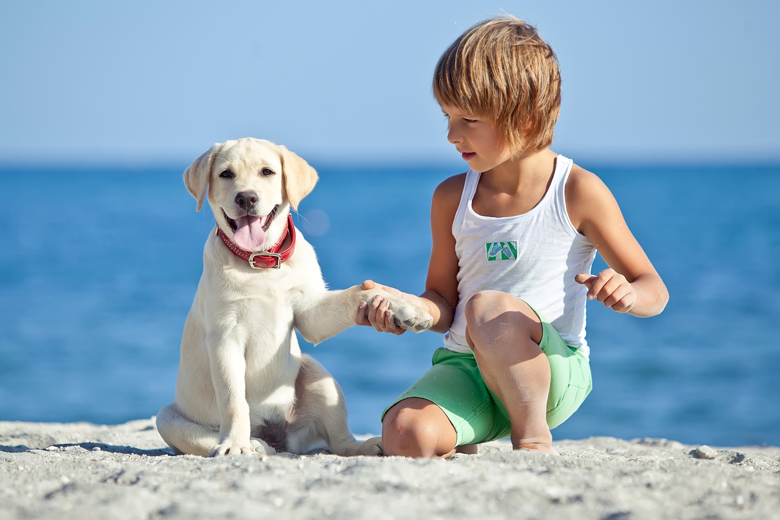 Boy and Labrador Retriever on a Beach HD Wallpaper