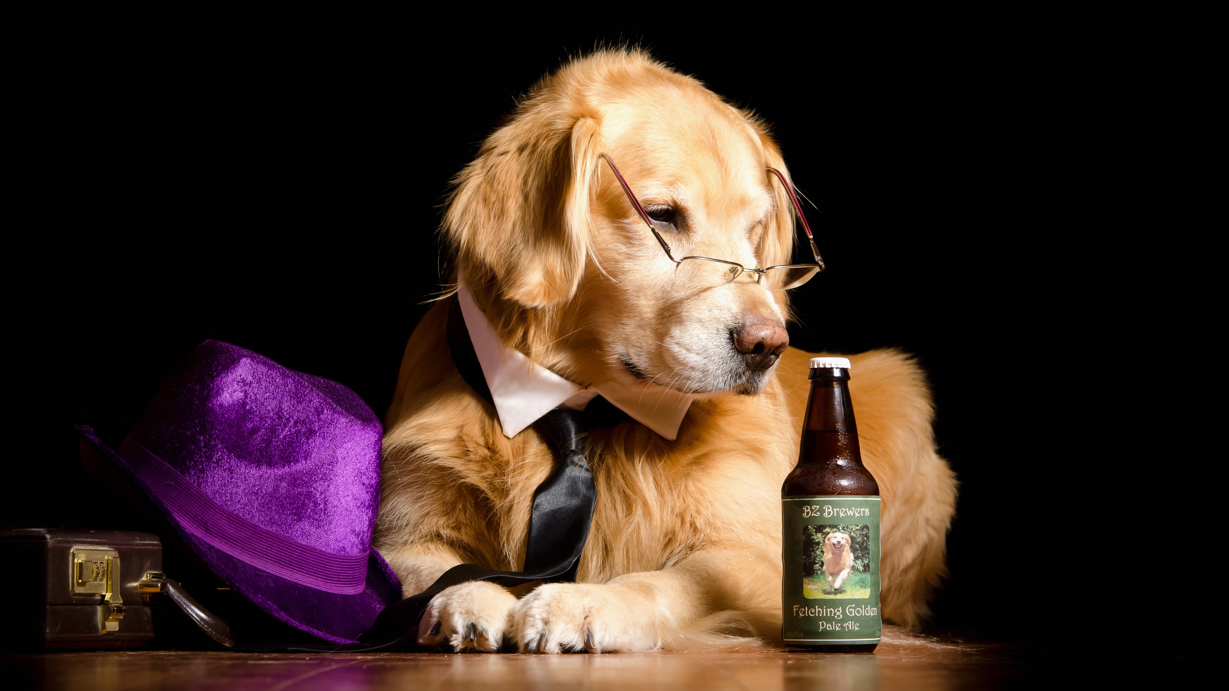 Golden Retriever Dog Wearing Glasses and Tie with Beer HD Wallpaper