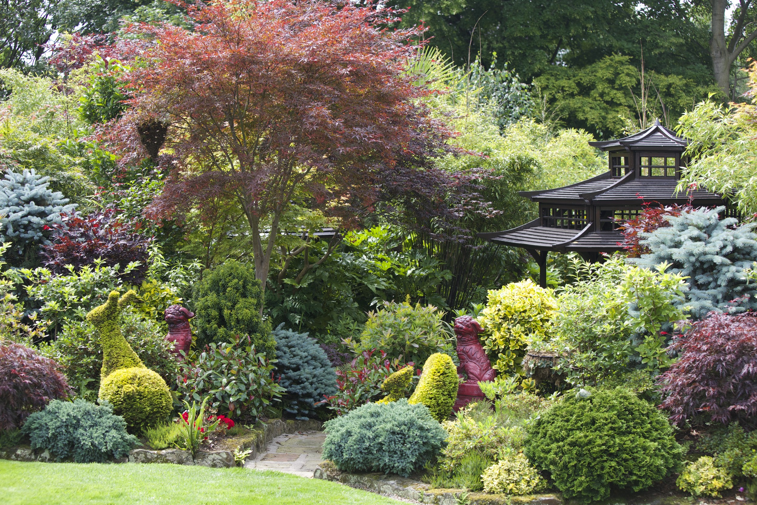 Japanese garden with pagoda and topiary in Walsall, England HD Wallpaper