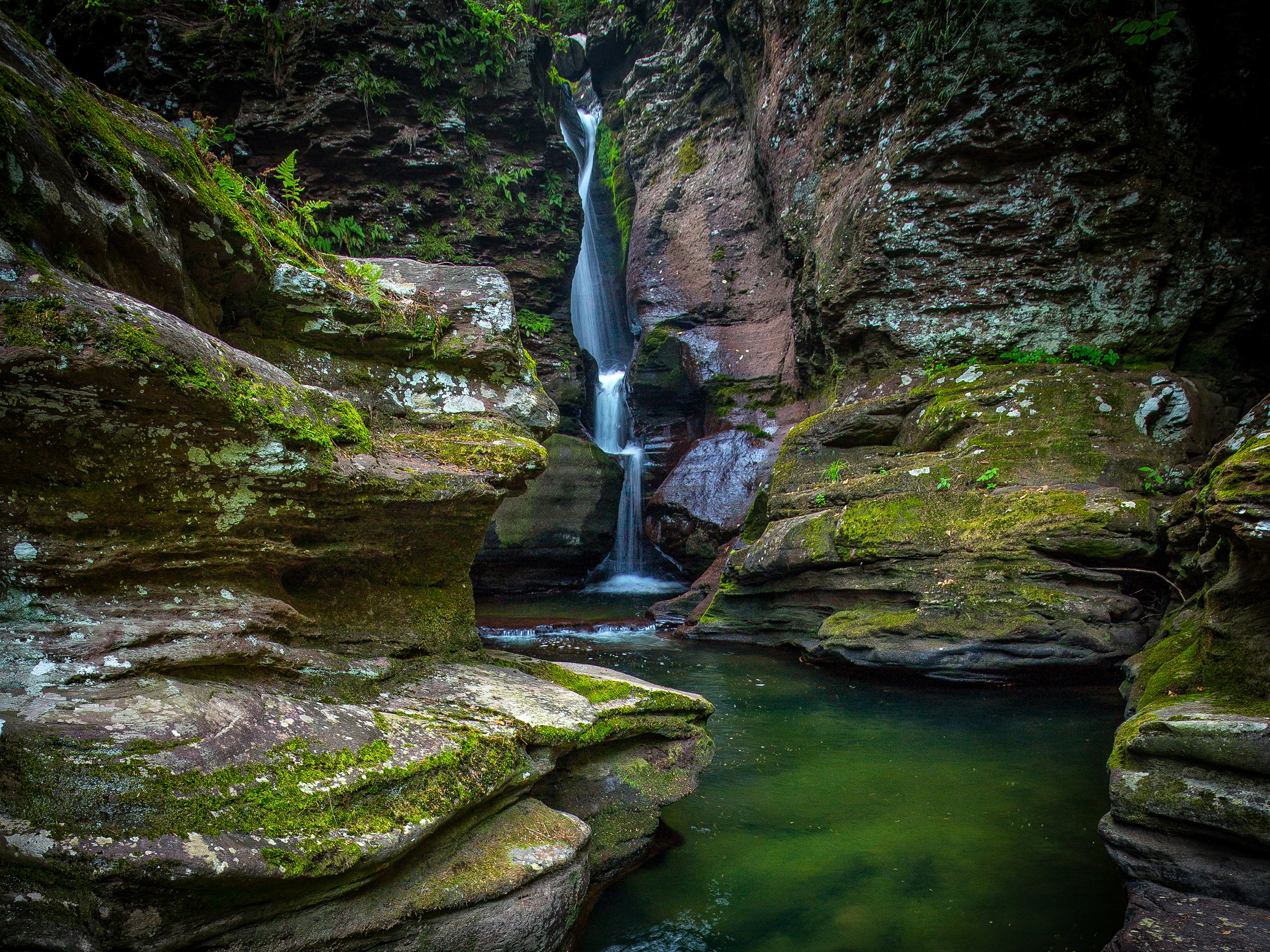 Waterfall in a mossy gorge at Ricketts Glen State Park HD Wallpaper