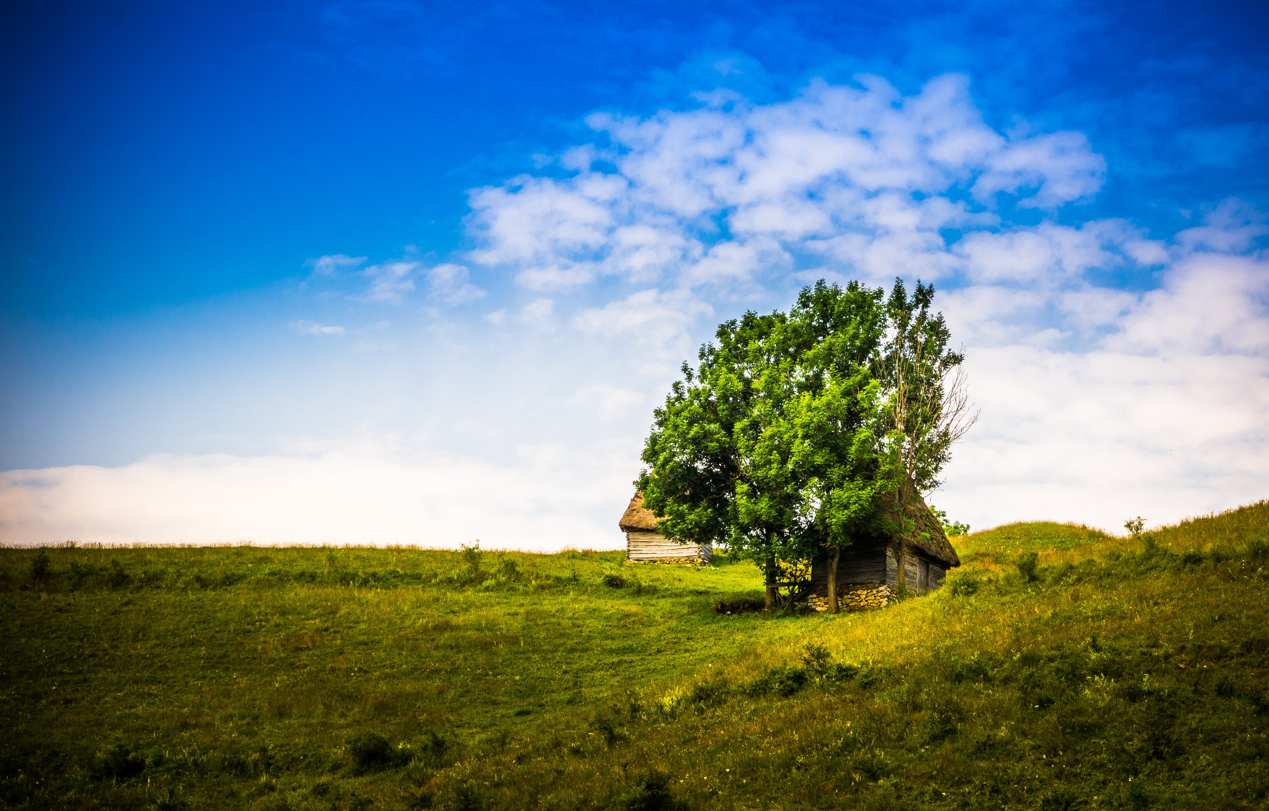 4K Romania Grasslands with Traditional Houses and Trees HD Wallpaper