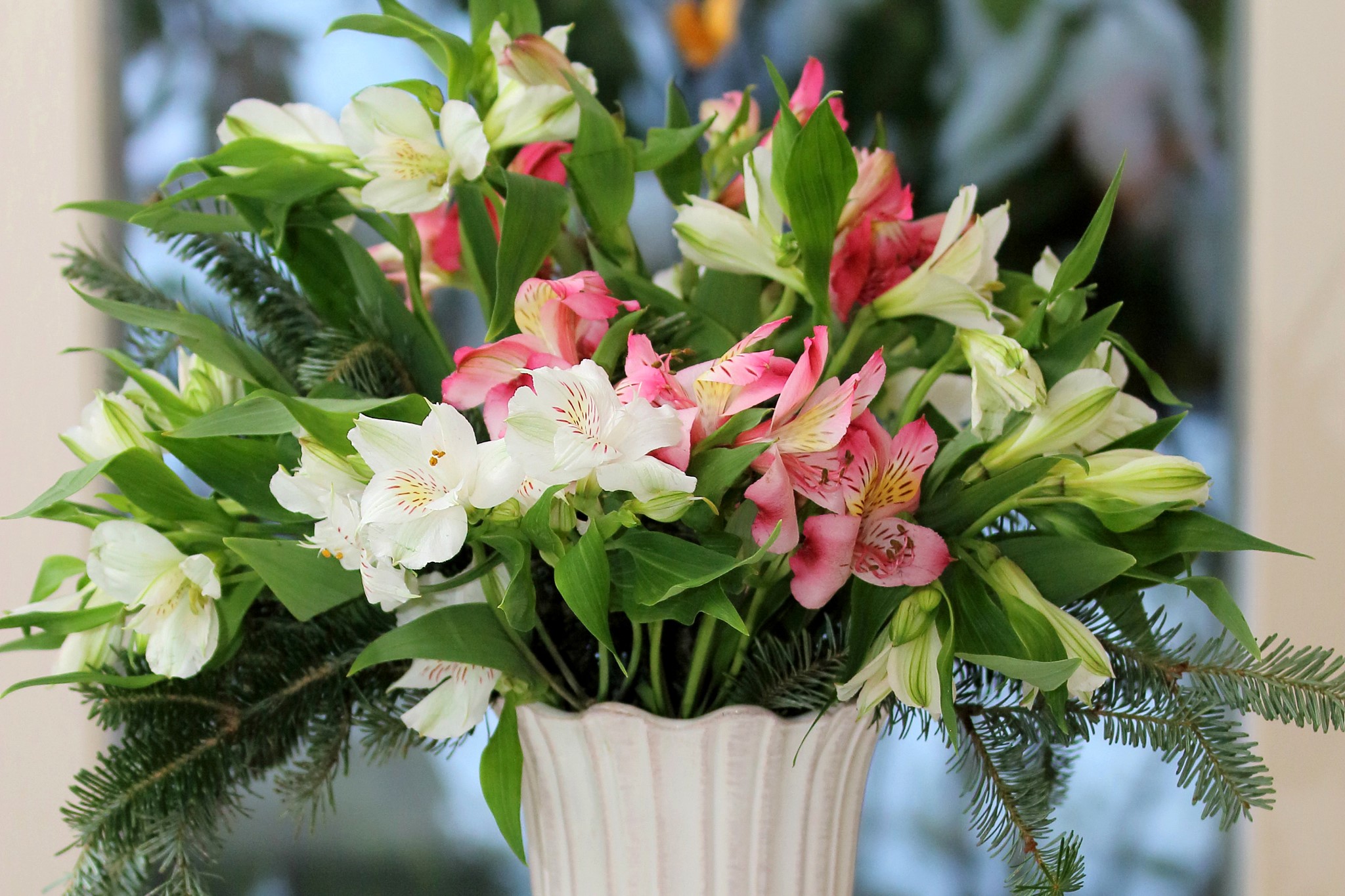 Bouquet of Alstroemeria flowers with pine branches HD Wallpaper