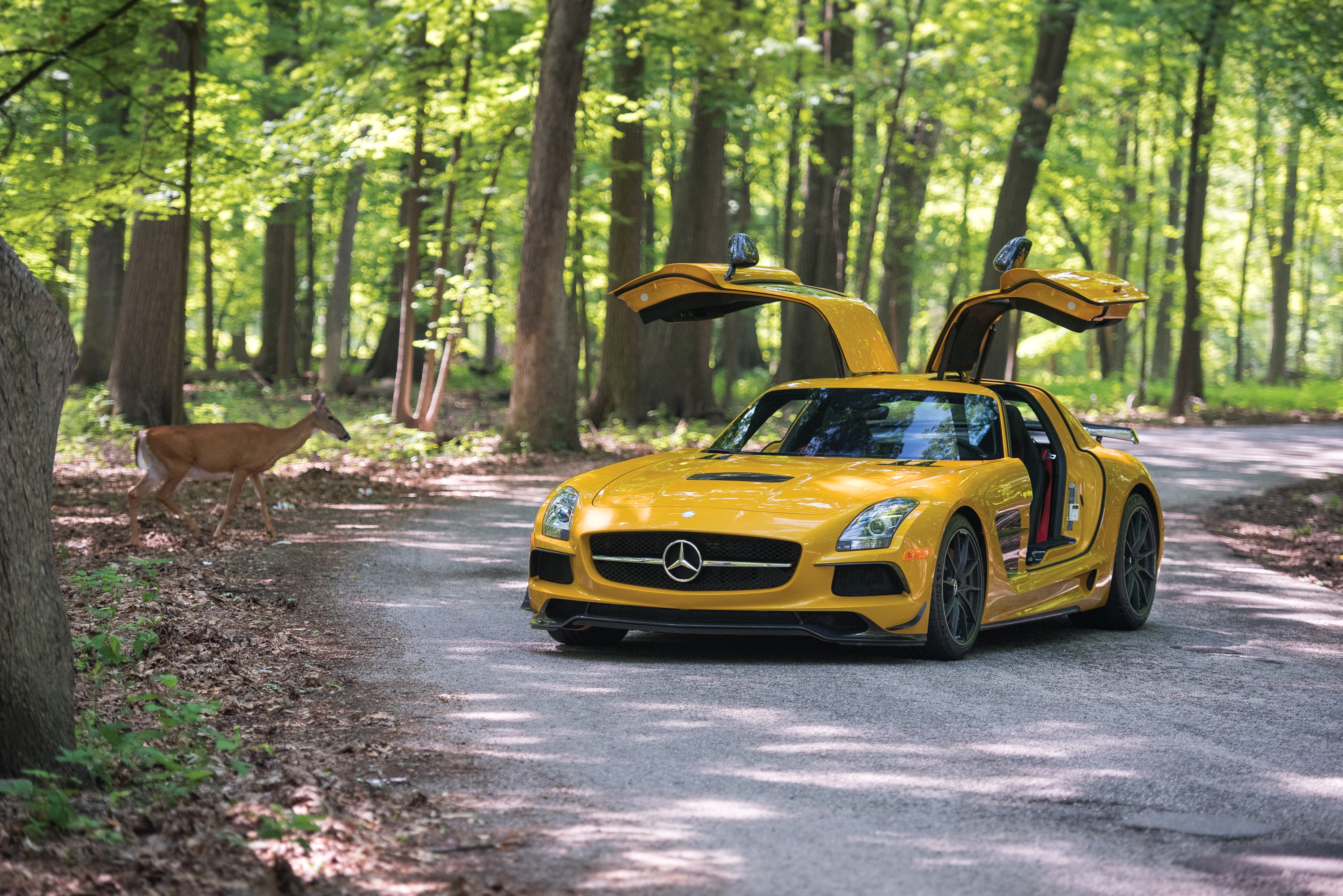 Yellow Mercedes-Benz SLS 63 AMG Black Series with Gullwing Doors and Deer HD Wallpaper