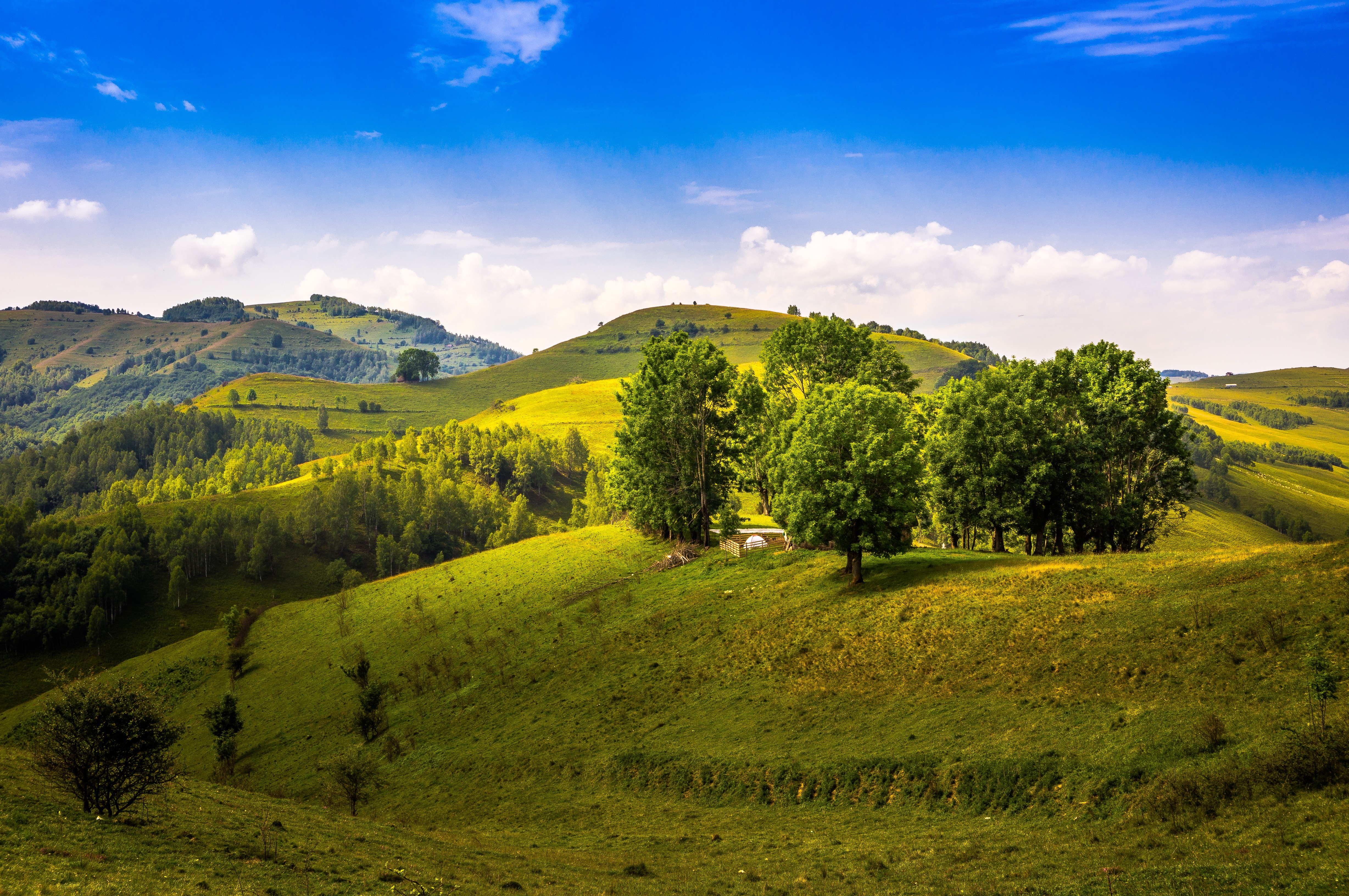 4K Romania Rolling Hills and Trees HD Wallpaper