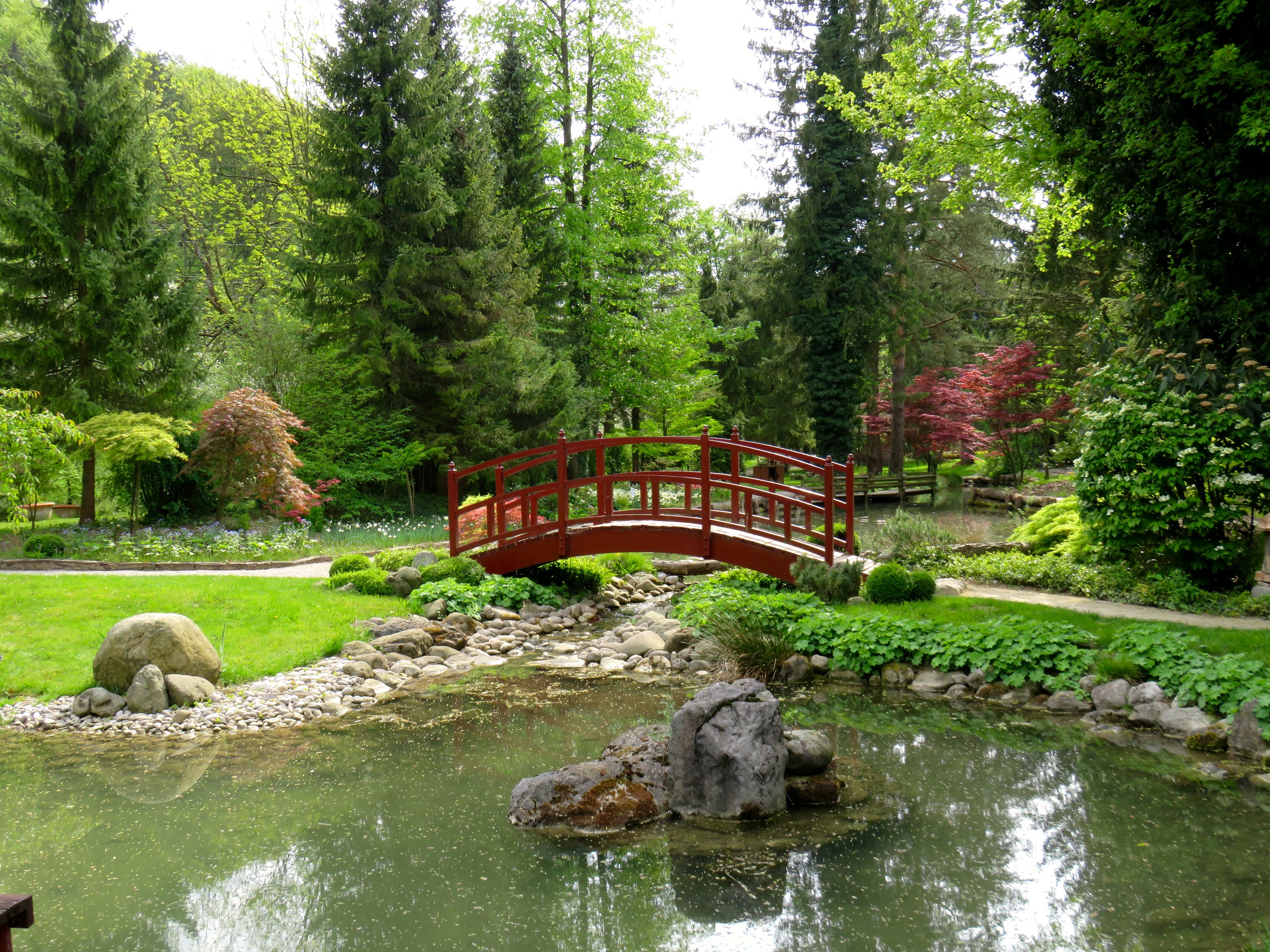 Park with a pond, bridge, and trees in Mozirski gaj, Slovenia HD Wallpaper