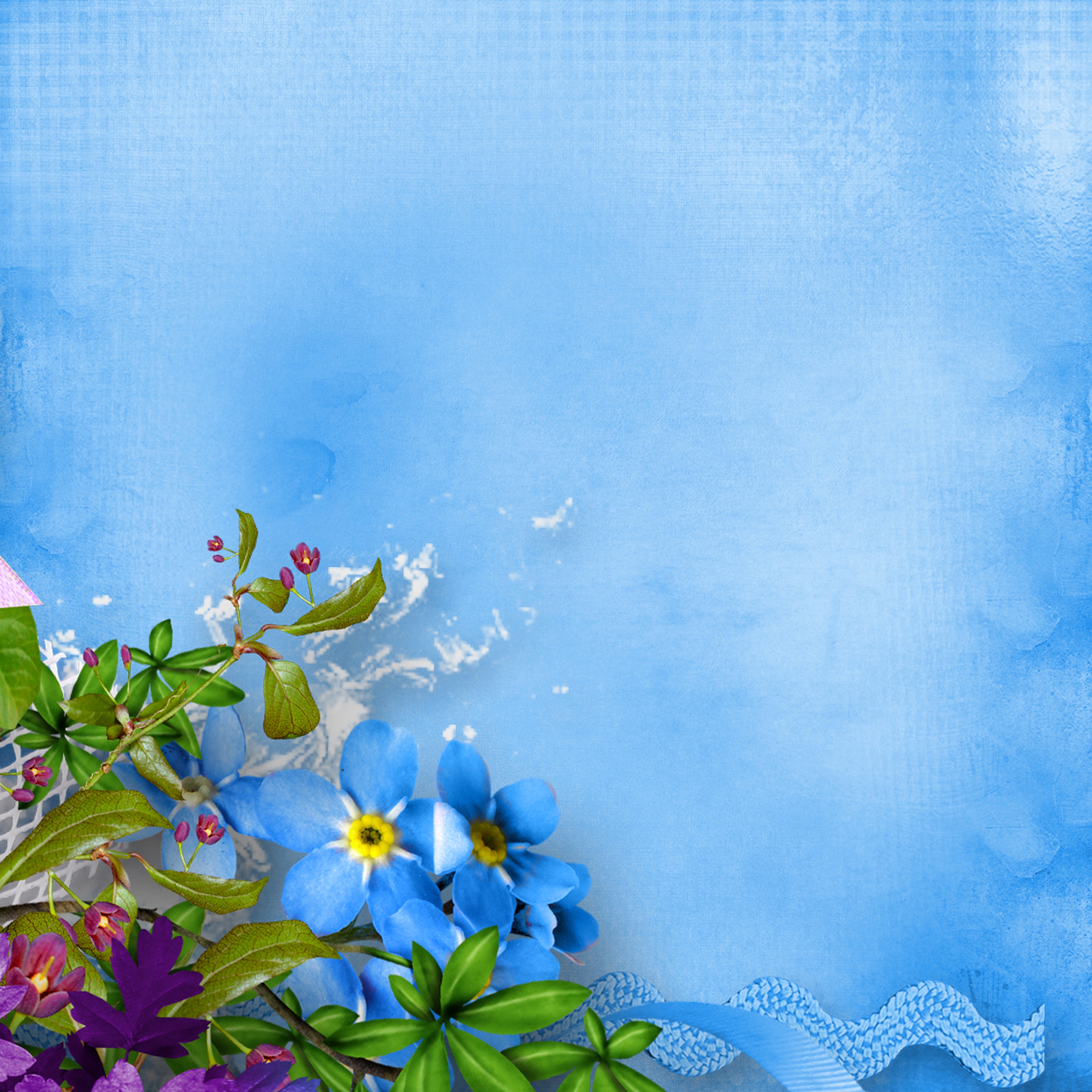 Forget-me-nots and purple flowers on a blue background HD Wallpaper