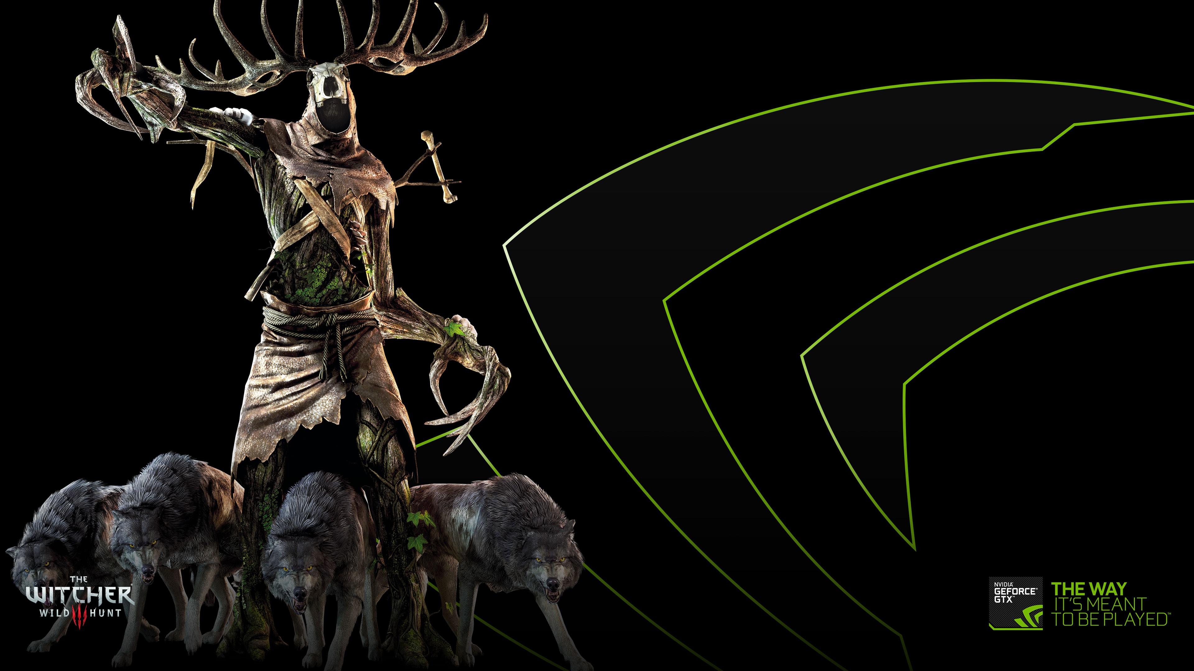 4K The Witcher 3 Wild Hunt Leshen and Wolves HD Wallpaper