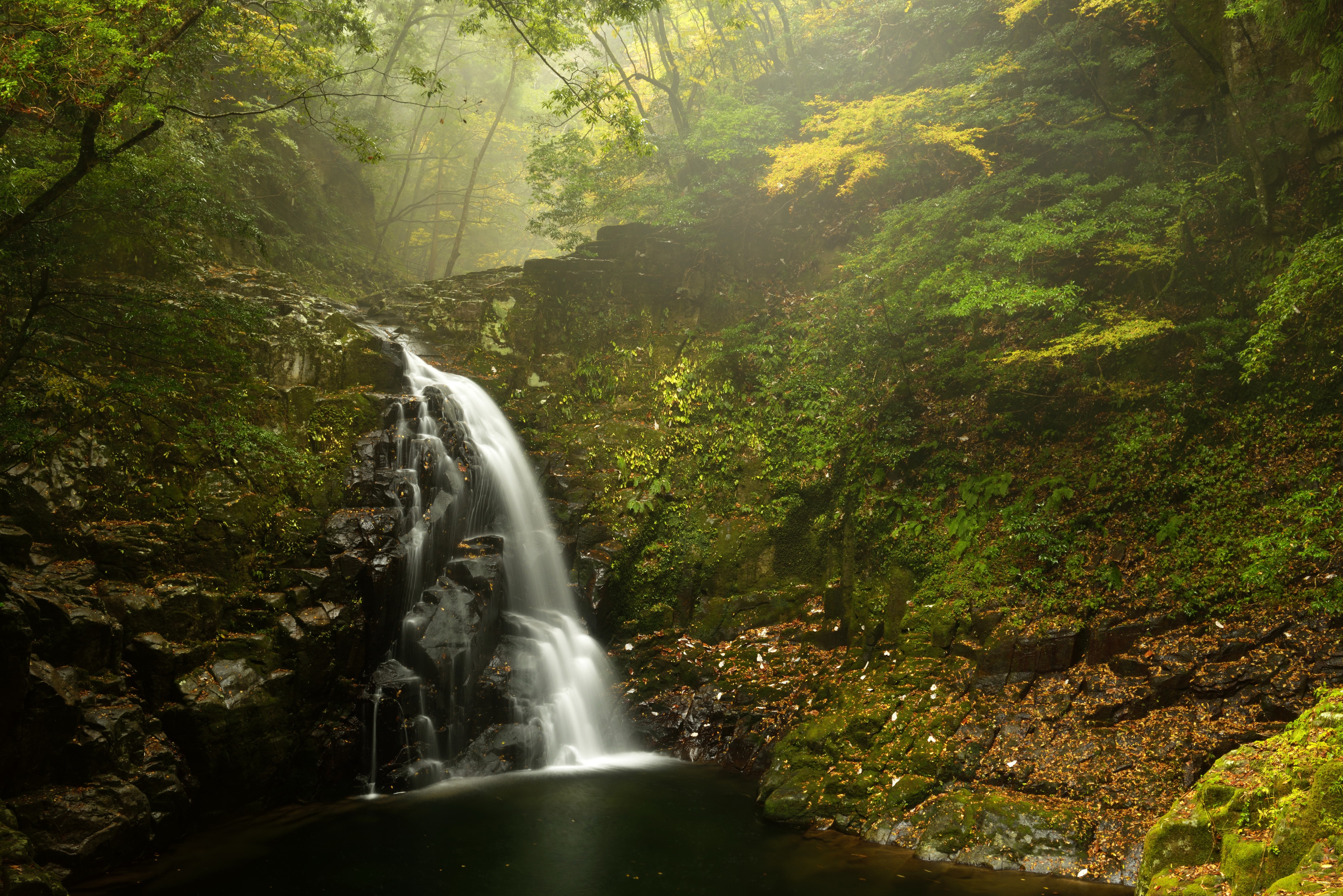 Waterfall in a misty autumn forest HD Wallpaper