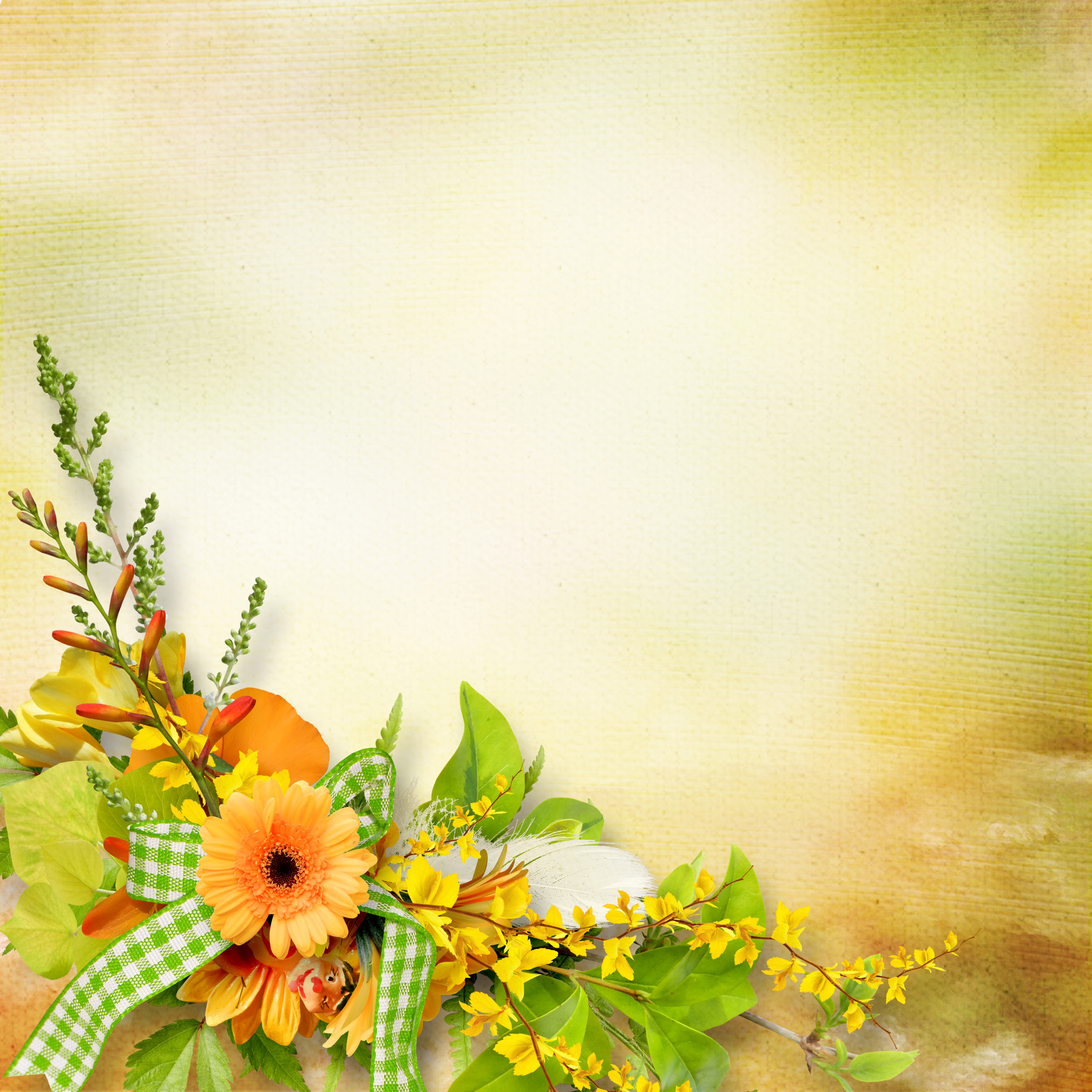Floral arrangement with gerbera daisy and ribbon HD Wallpaper