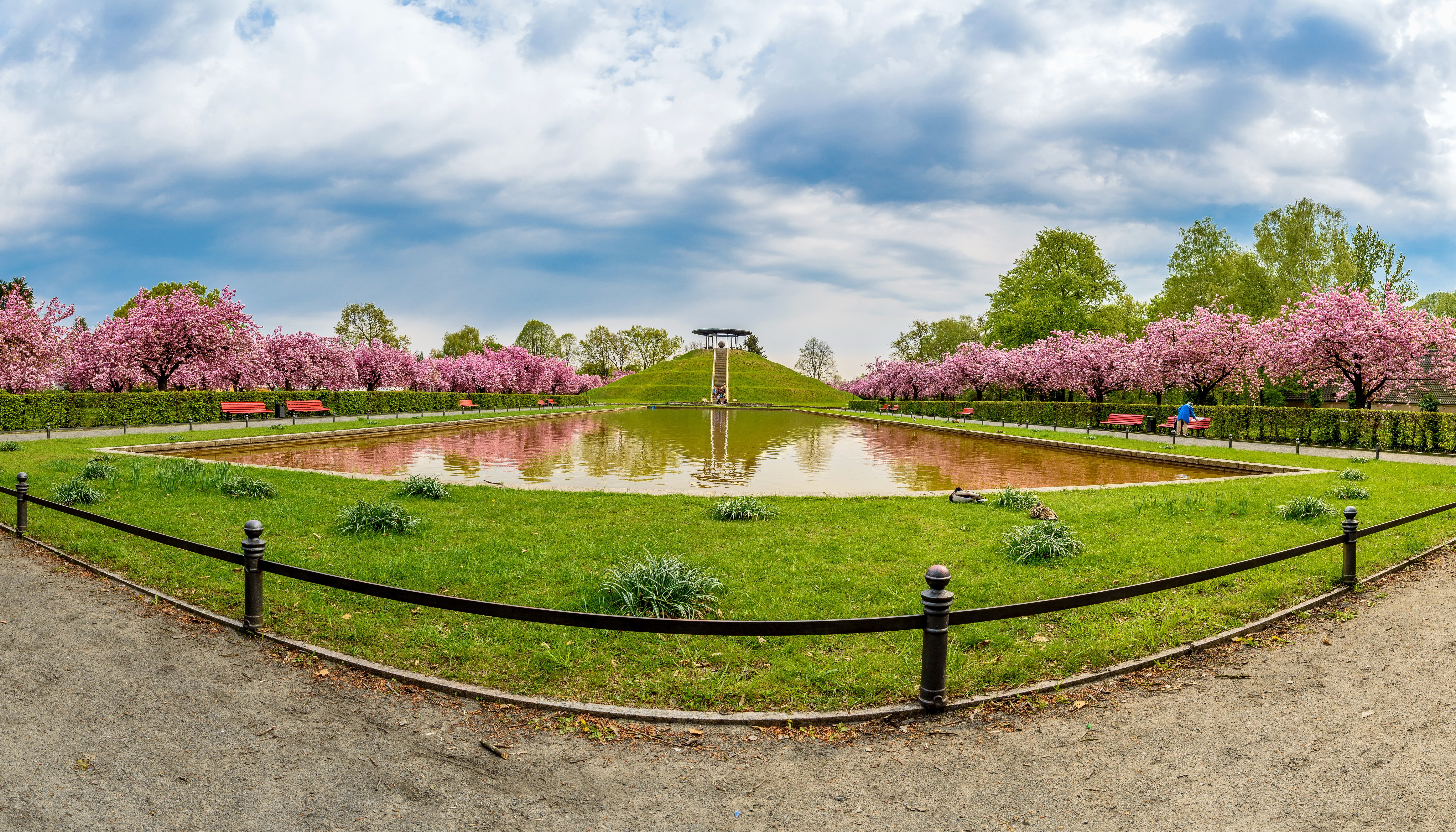 Park in Berlin, Germany with pond and cherry blossoms HD Wallpaper