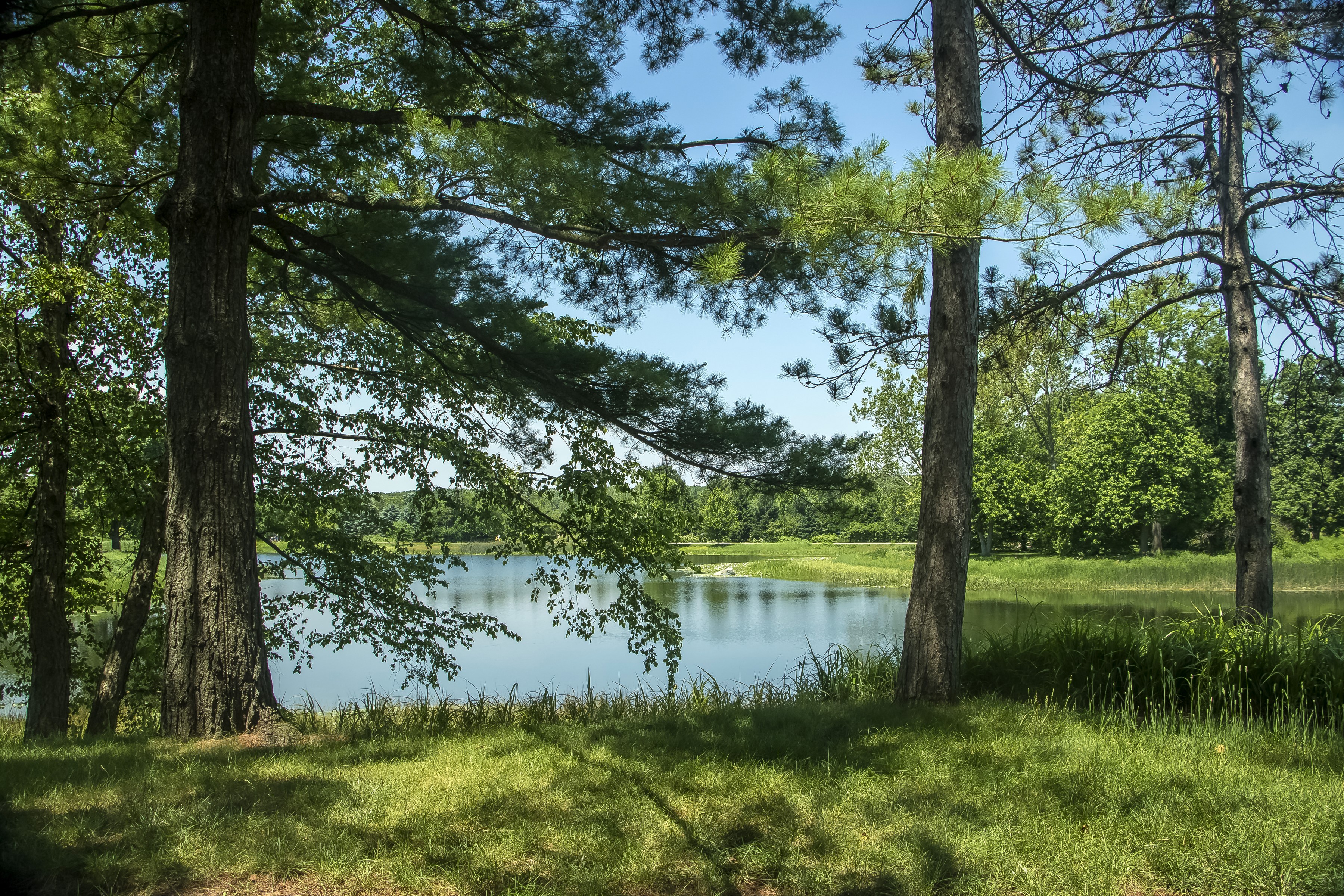 Lake and trees at Morton Arboretum in Northern Illinois HD Wallpaper