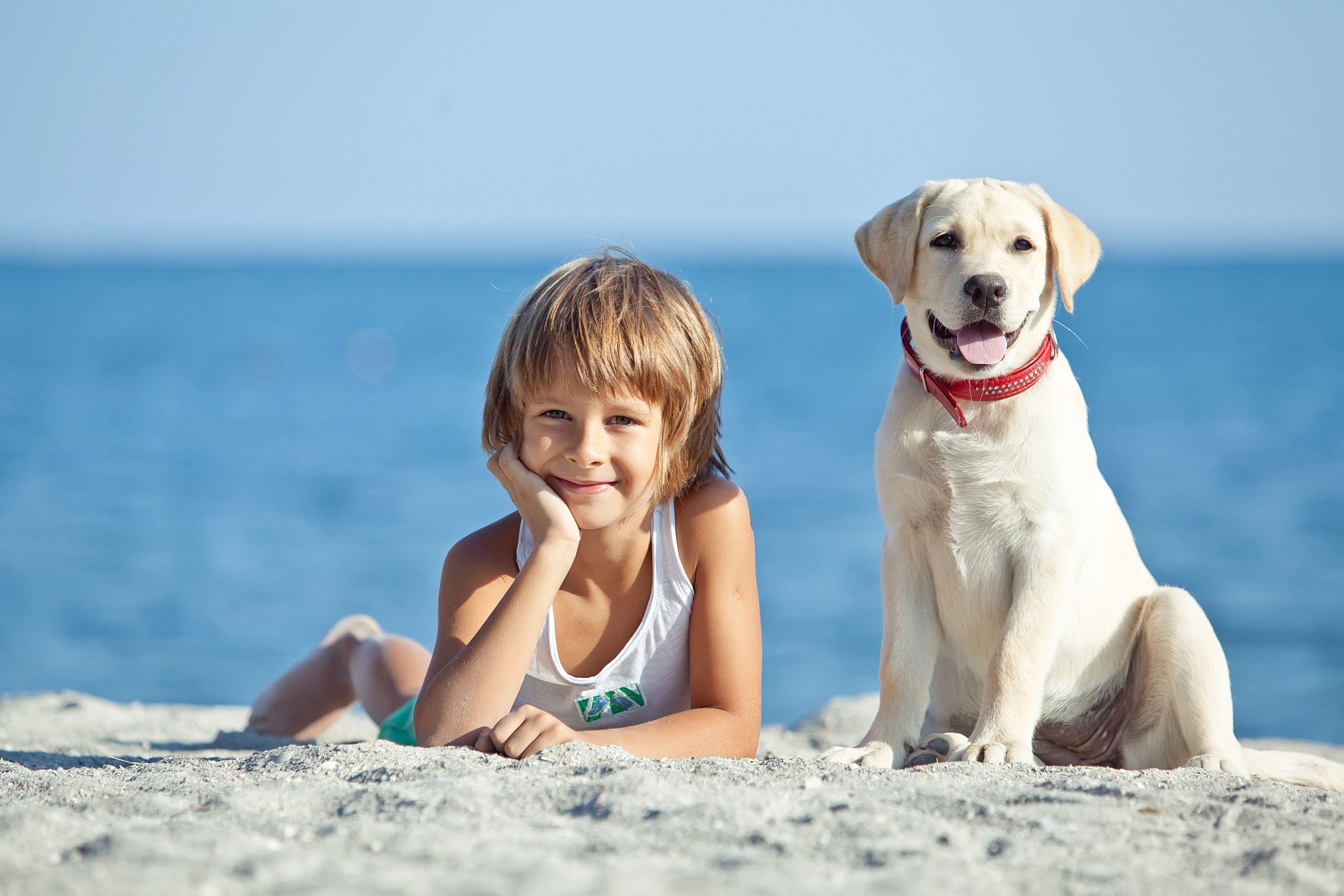 Boy and Labrador Retriever on a Sandy Beach HD Wallpaper