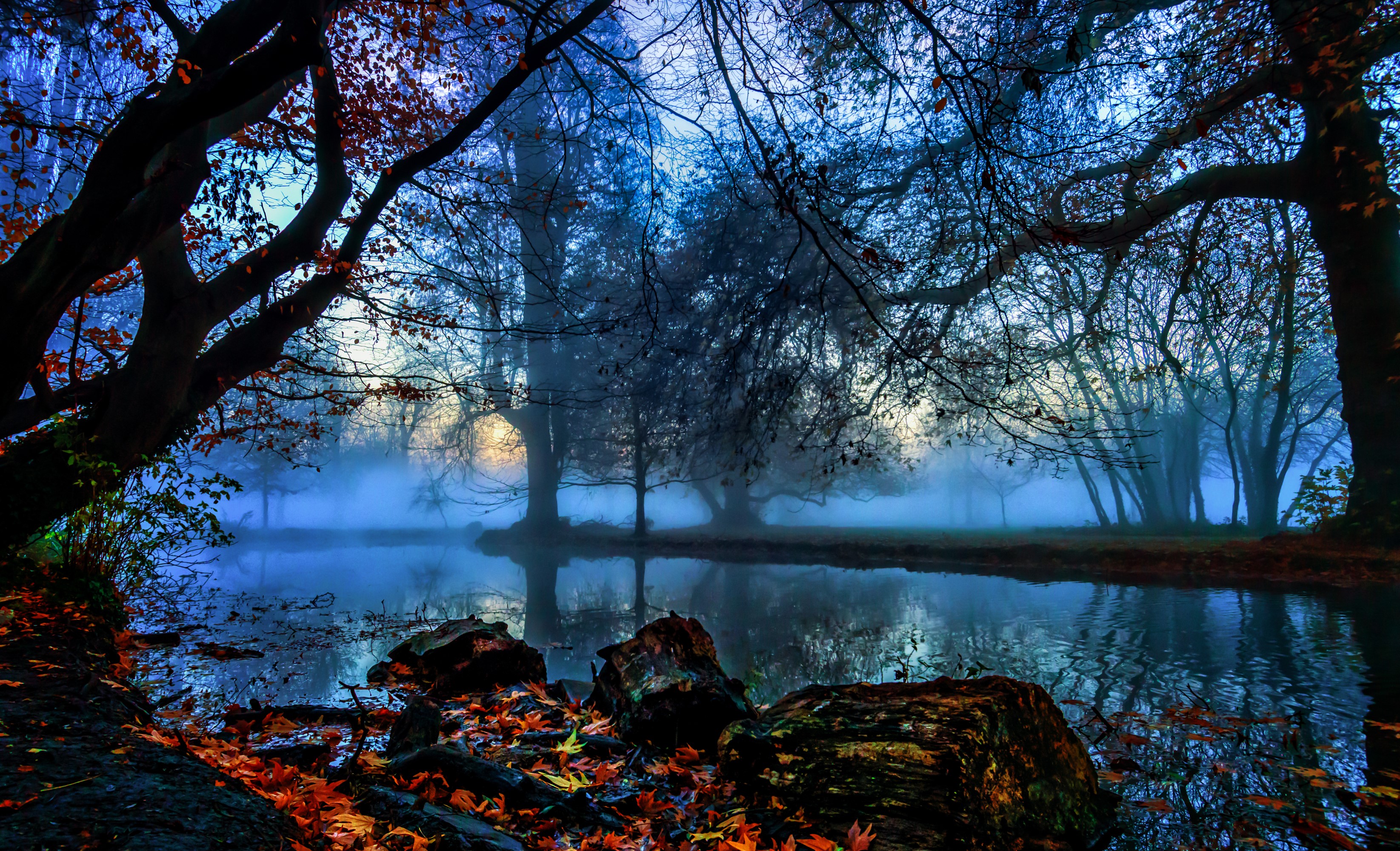 Morden Hall Park in London during Autumn with Fog HD Wallpaper