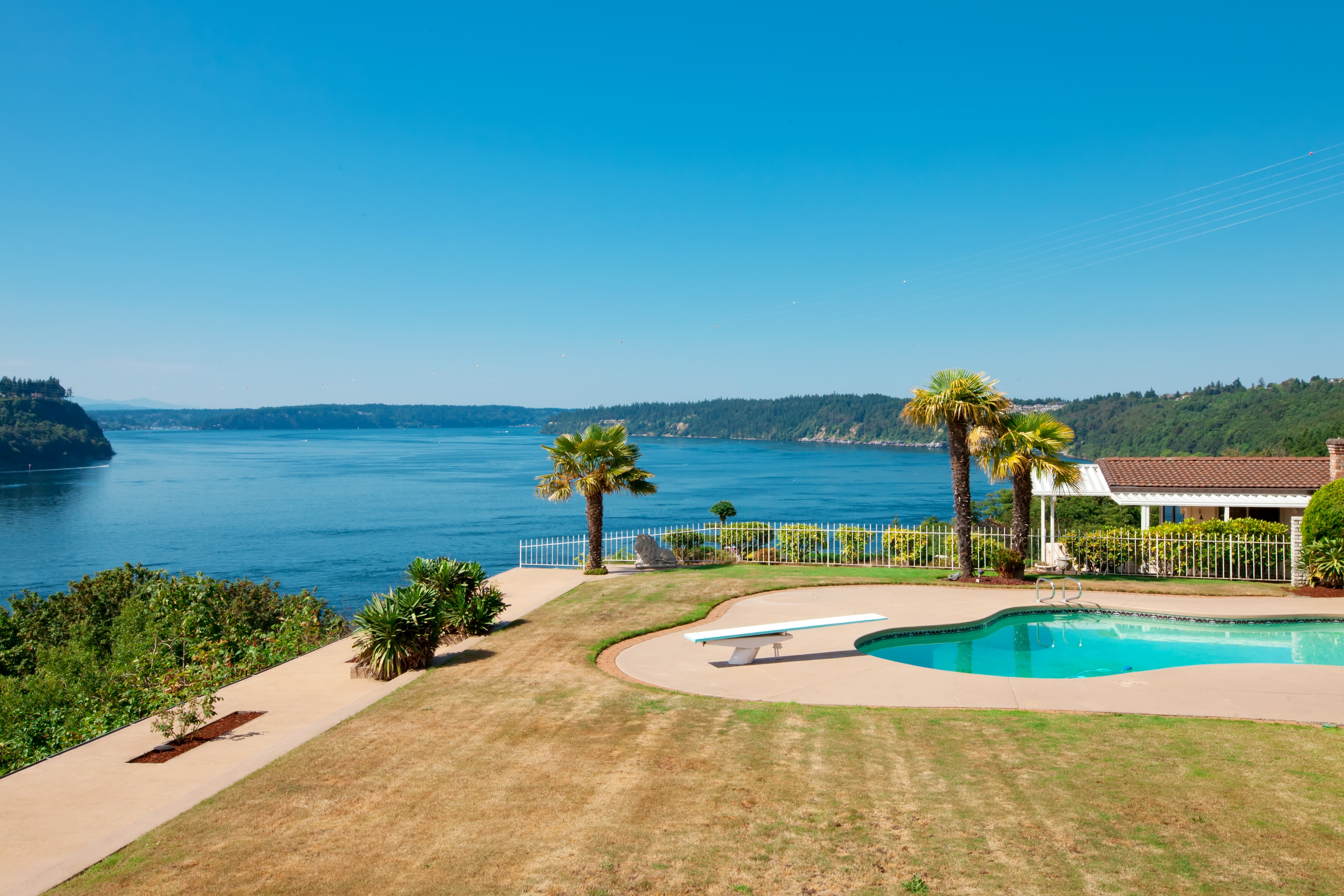 Pool and Palm Trees Overlooking a Bay HD Wallpaper