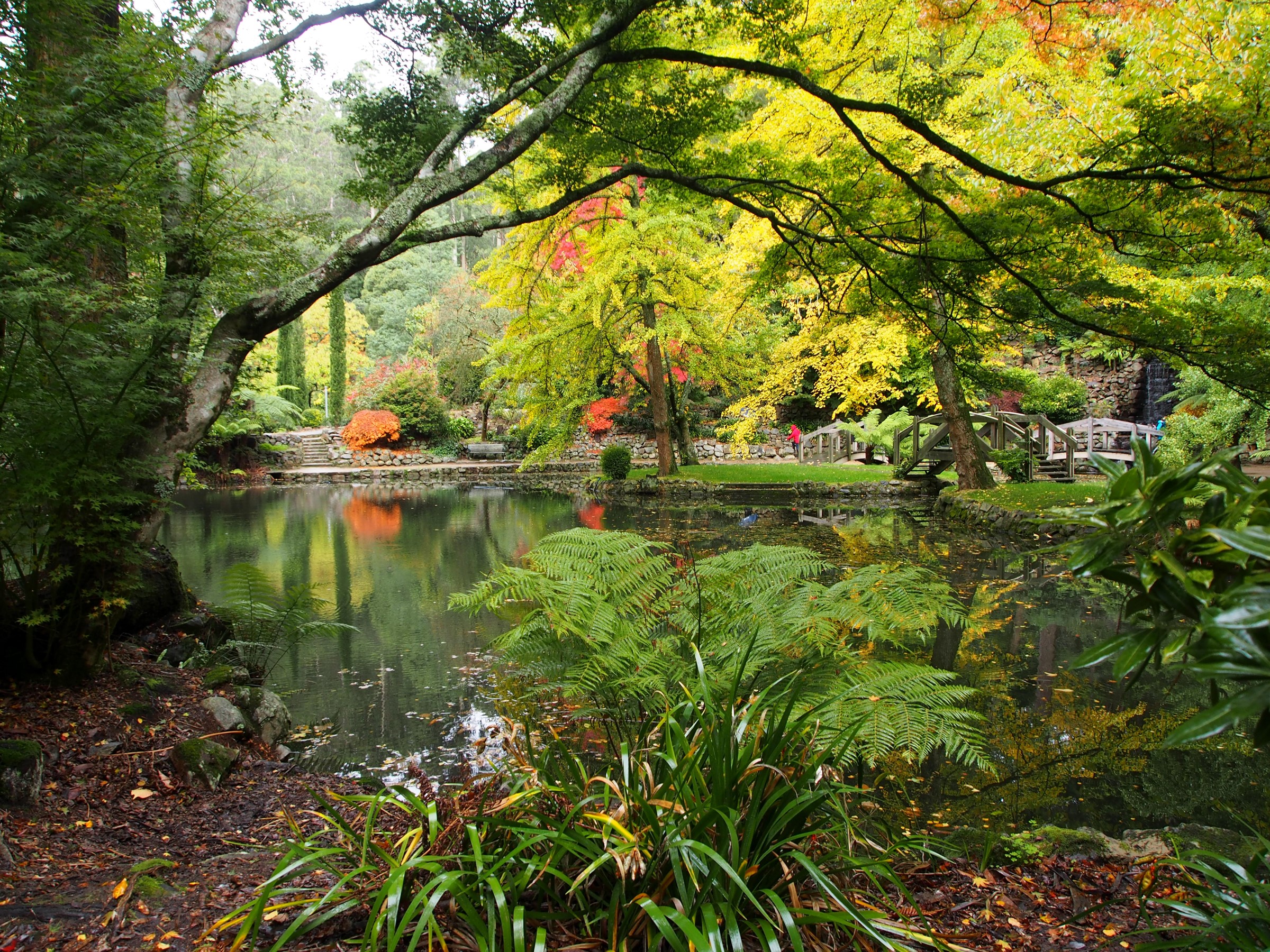 Alfred Nicholas Memorial Gardens Pond with Autumn Trees HD Wallpaper