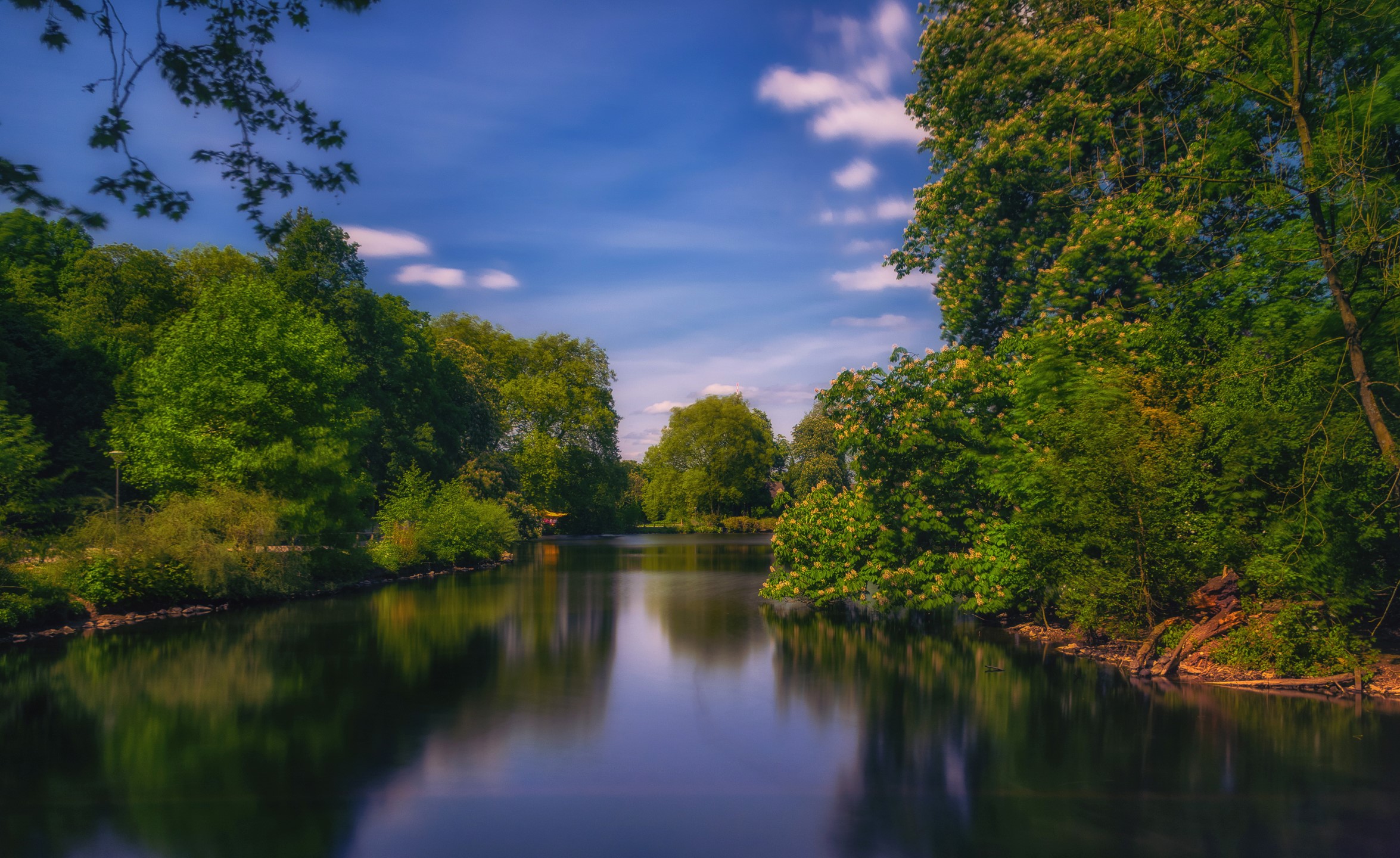 Romberg Park Dortmund, Germany river and trees HD Wallpaper